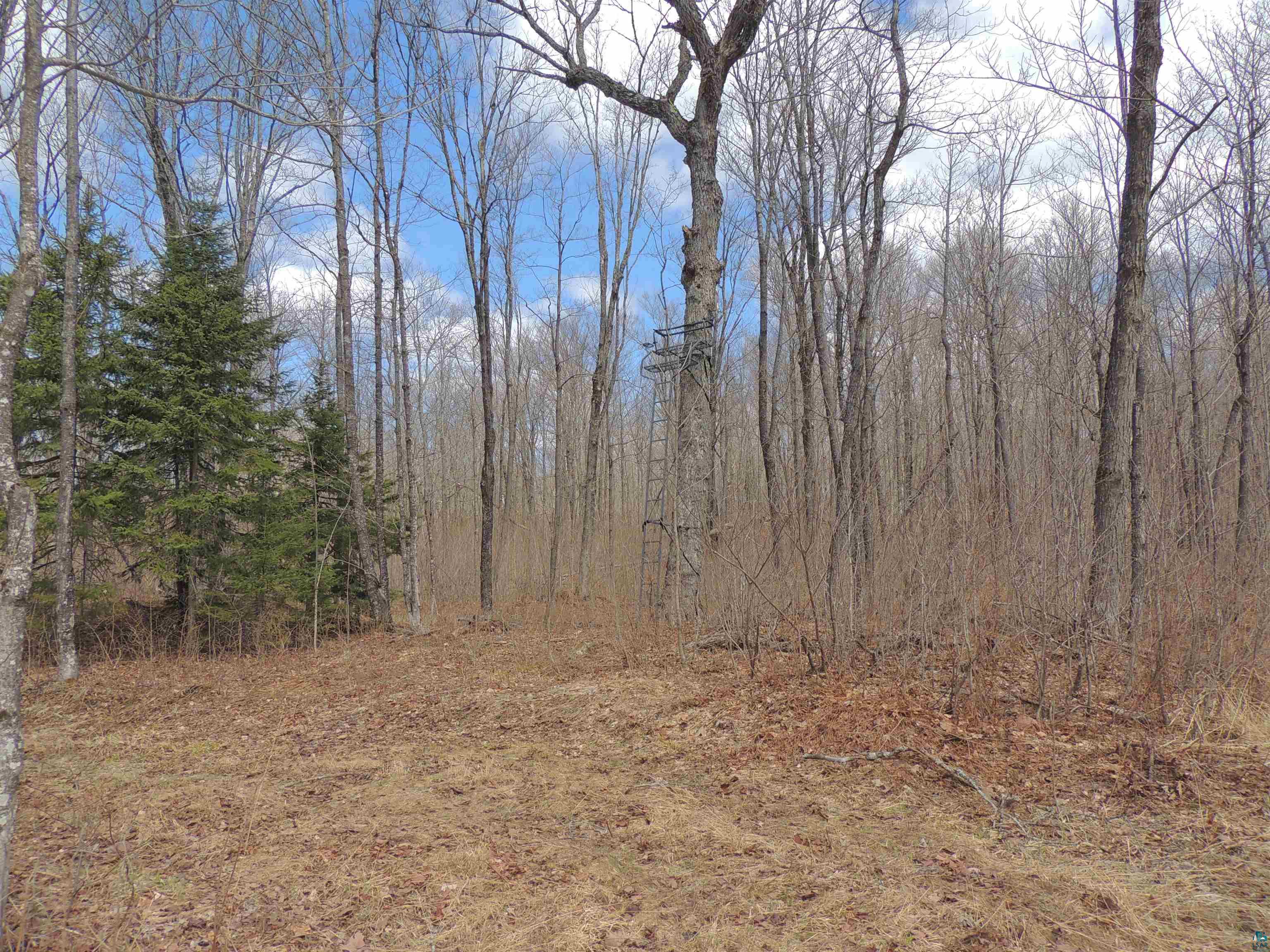 Xxx Springdale Road Tofte, MN 55615 - Photo 17 of 36