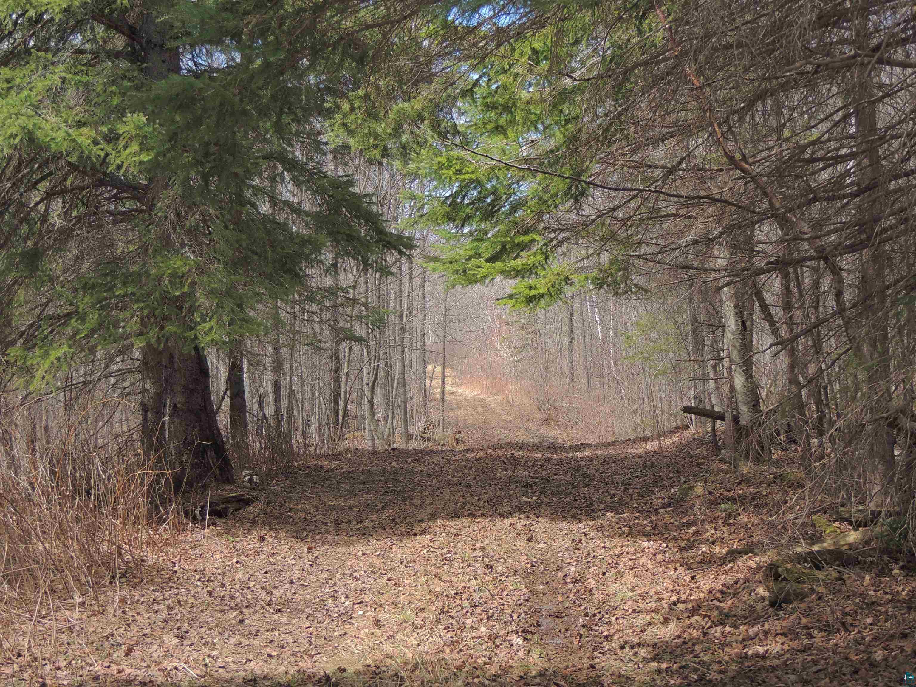 Xxx Springdale Road Tofte, MN 55615 - Photo 2 of 36