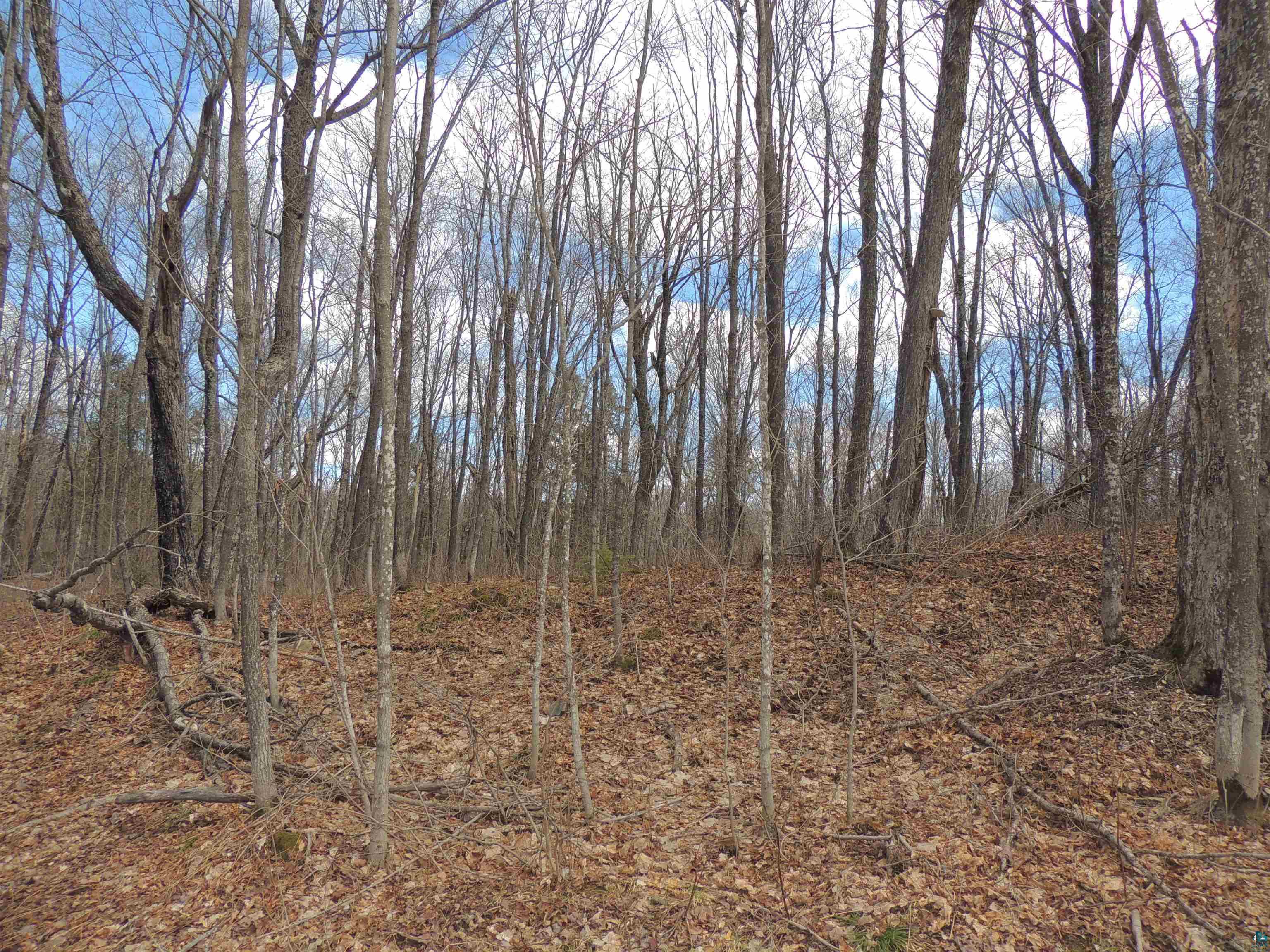 Xxx Springdale Road Tofte, MN 55615 - Photo 22 of 36