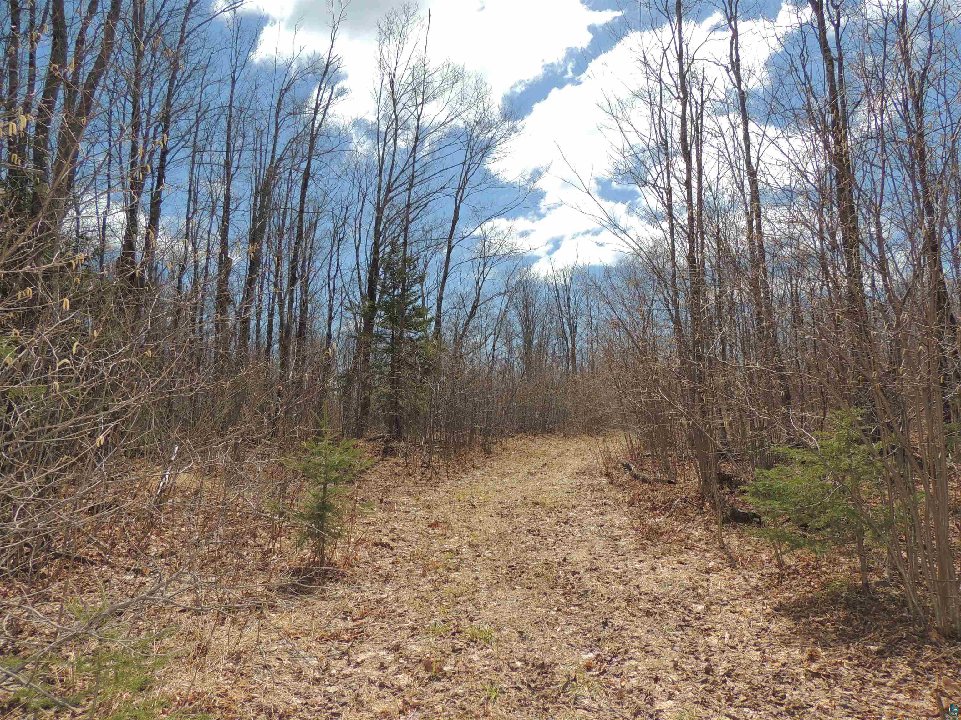 Xxx Springdale Road Tofte, MN 55615 - Photo 23 of 36