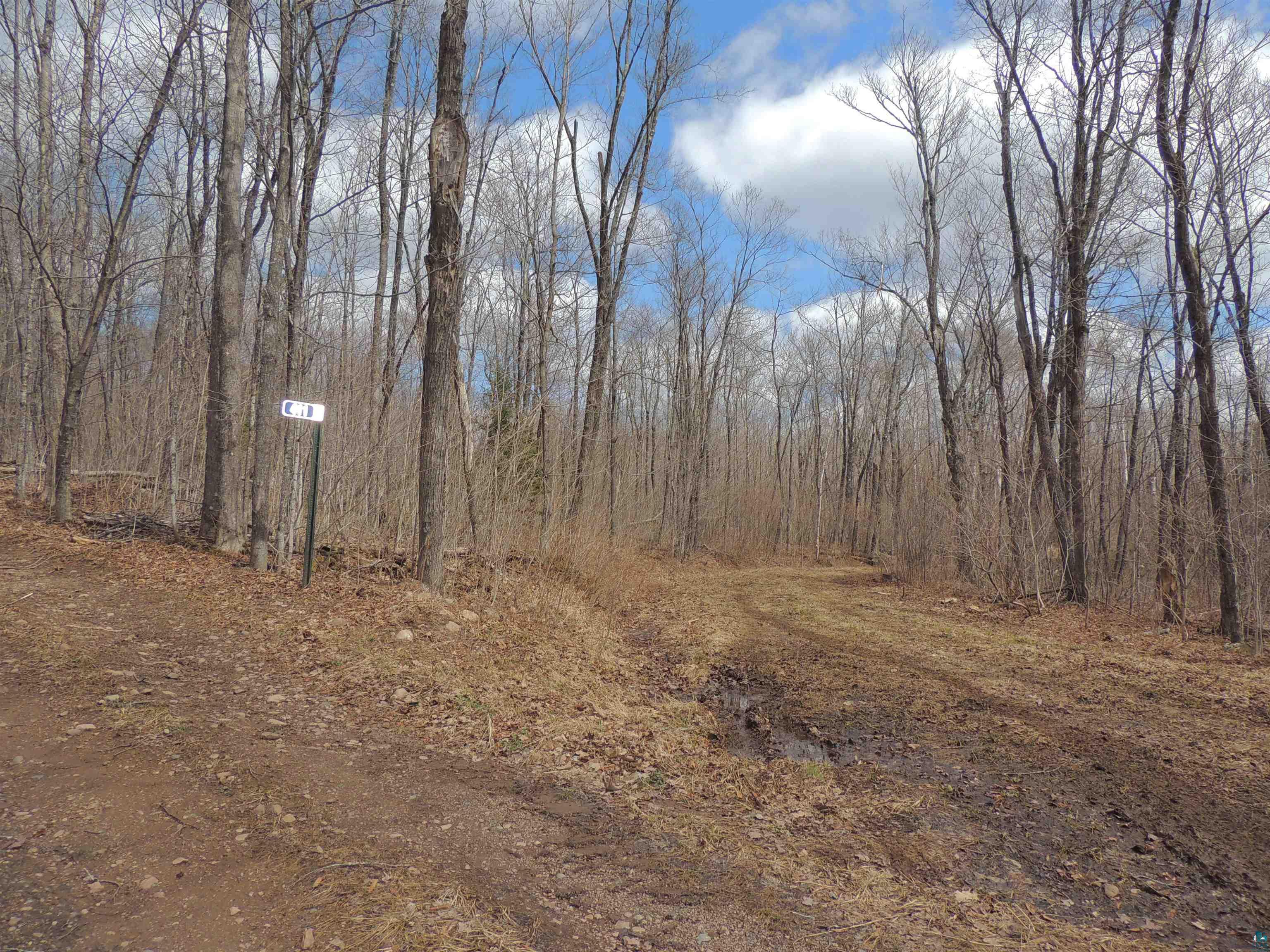 Xxx Springdale Road Tofte, MN 55615 - Photo 24 of 36