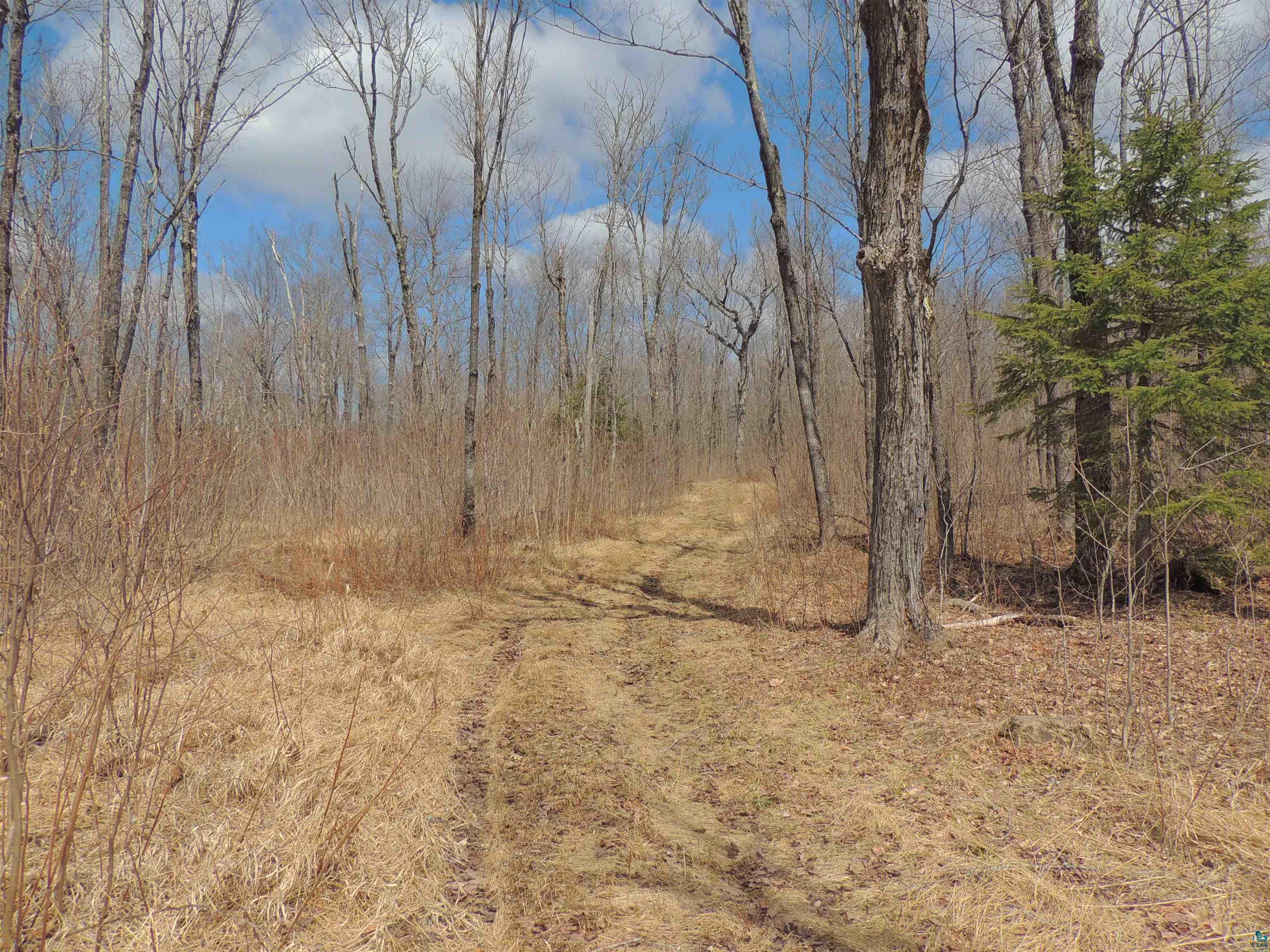 Xxx Springdale Road Tofte, MN 55615 - Photo 25 of 36