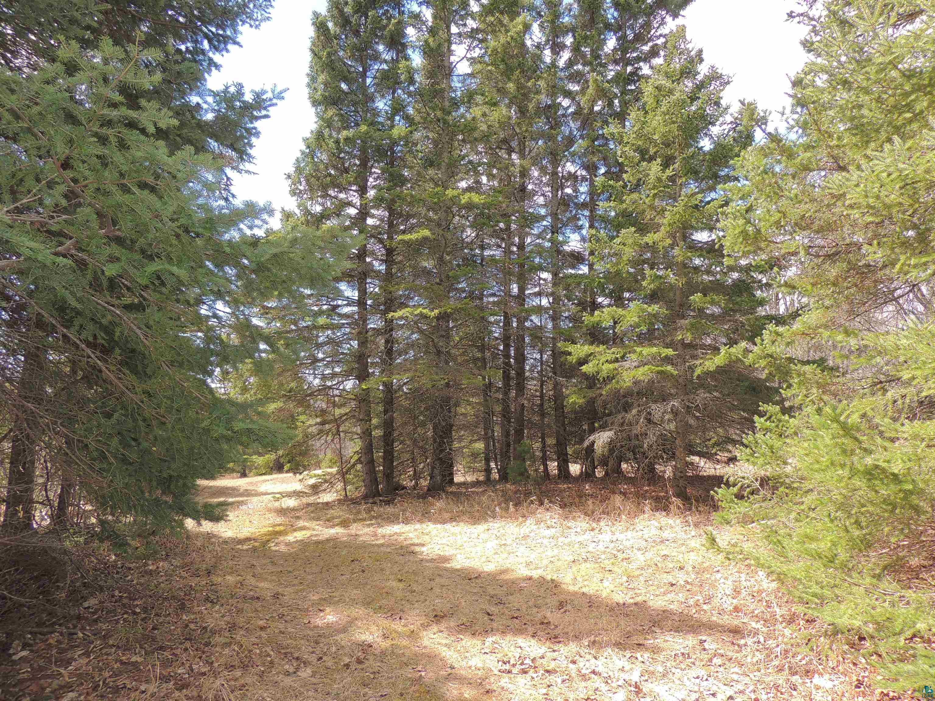 Xxx Springdale Road Tofte, MN 55615 - Photo 27 of 36