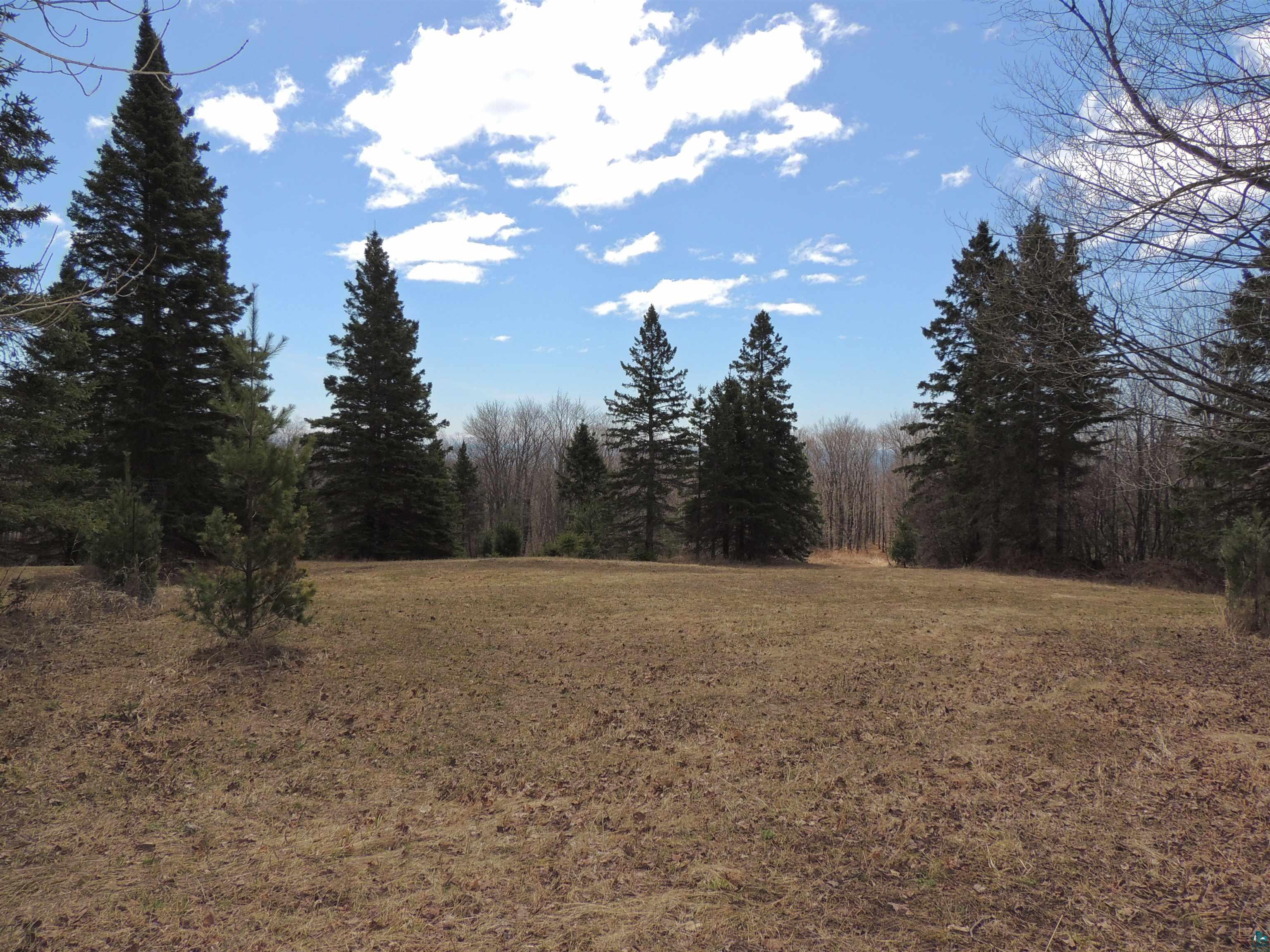 Xxx Springdale Road Tofte, MN 55615 - Photo 28 of 36