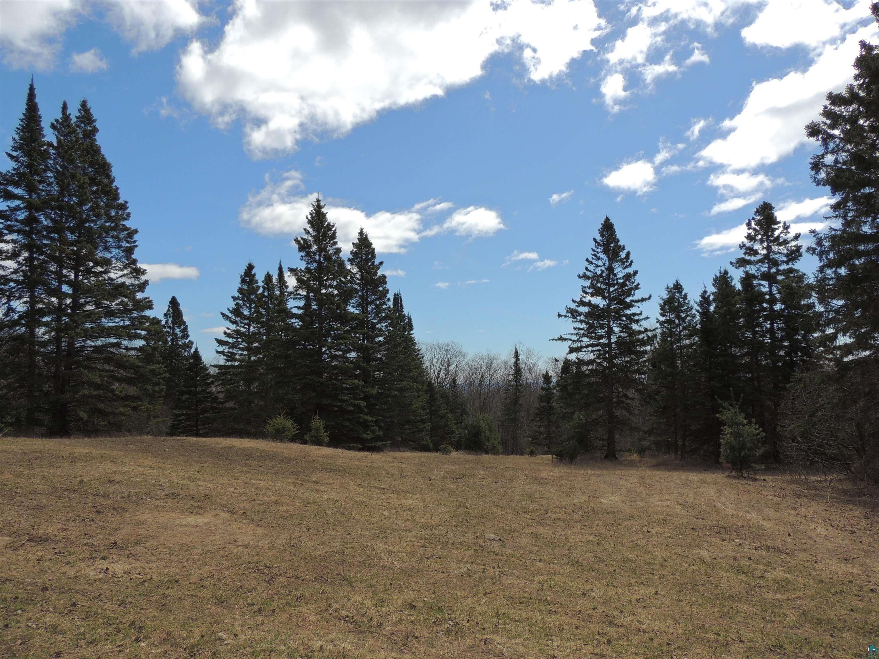 Xxx Springdale Road Tofte, MN 55615 - Photo 30 of 36
