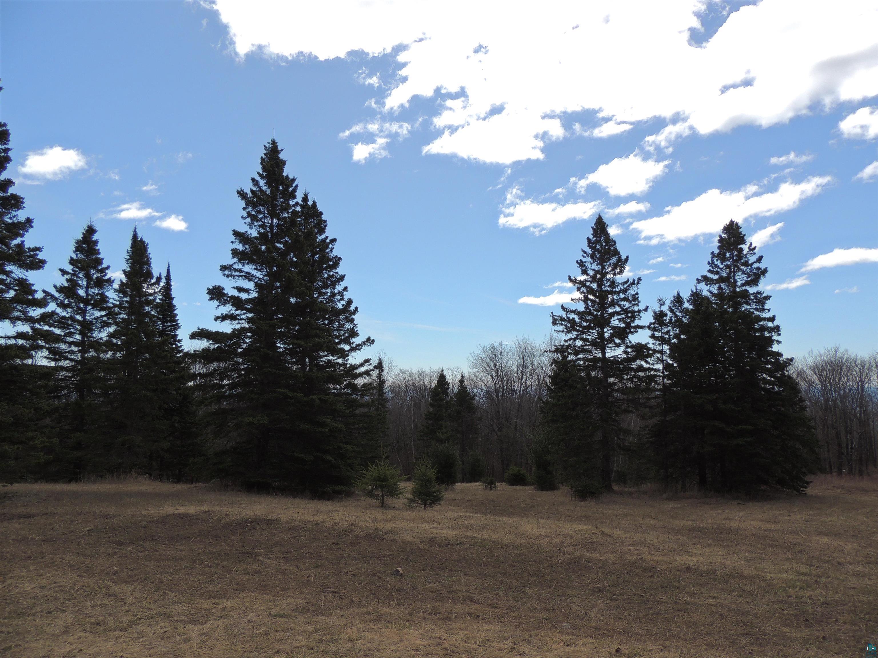 Xxx Springdale Road Tofte, MN 55615 - Photo 3 of 36