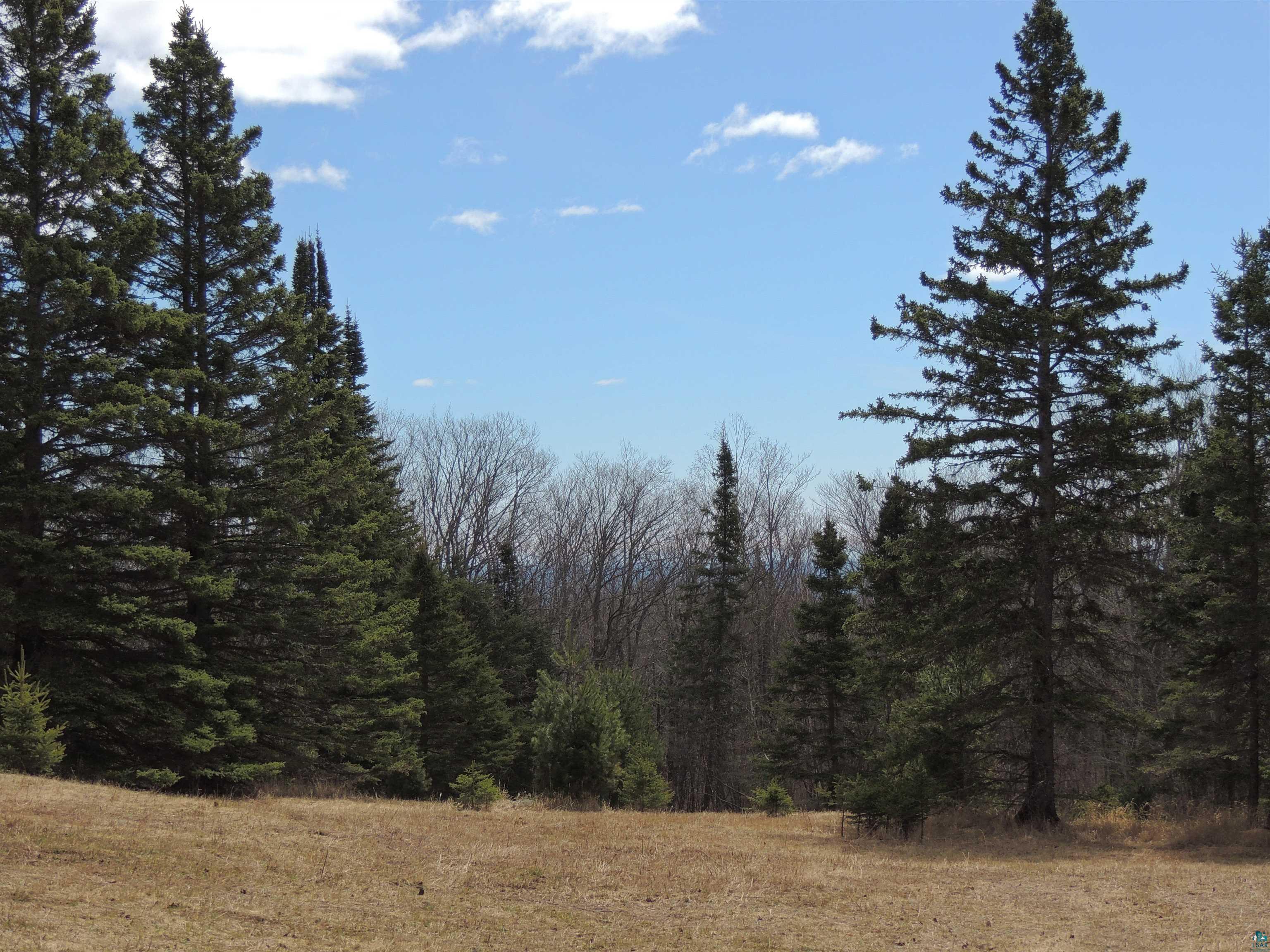 Xxx Springdale Road Tofte, MN 55615 - Photo 31 of 36