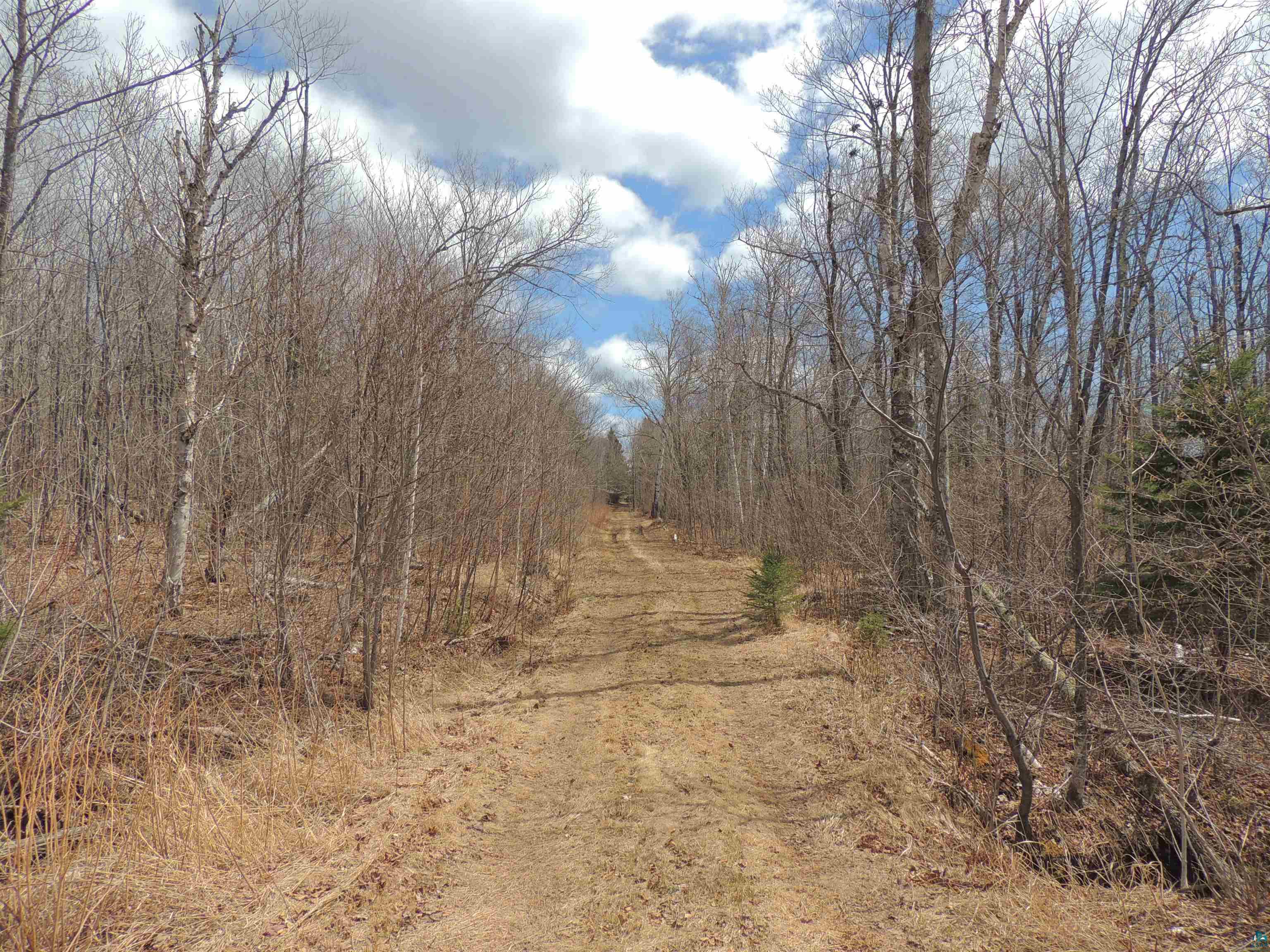 Xxx Springdale Road Tofte, MN 55615 - Photo 36 of 36