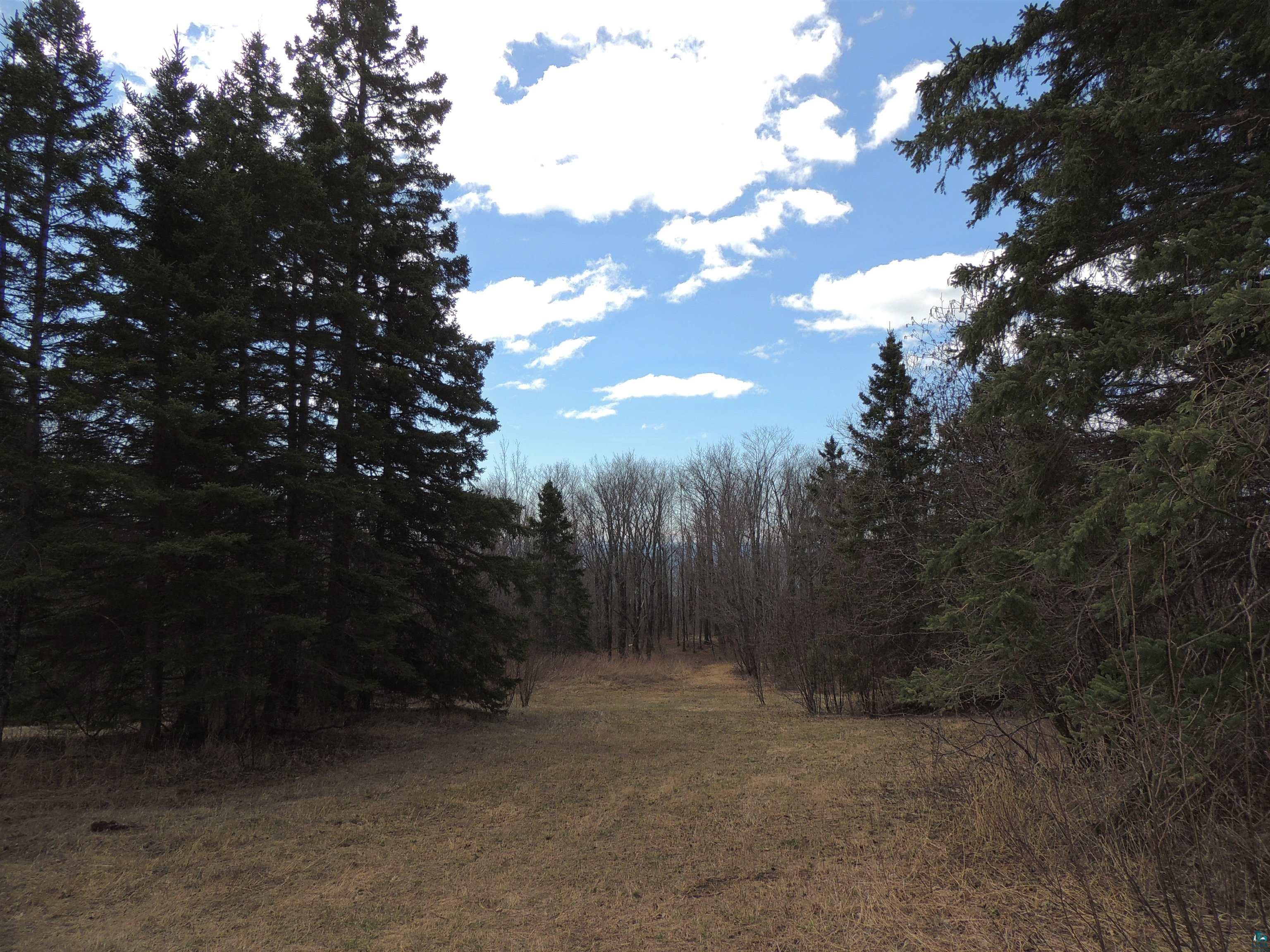 Xxx Springdale Road Tofte, MN 55615 - Photo 5 of 36