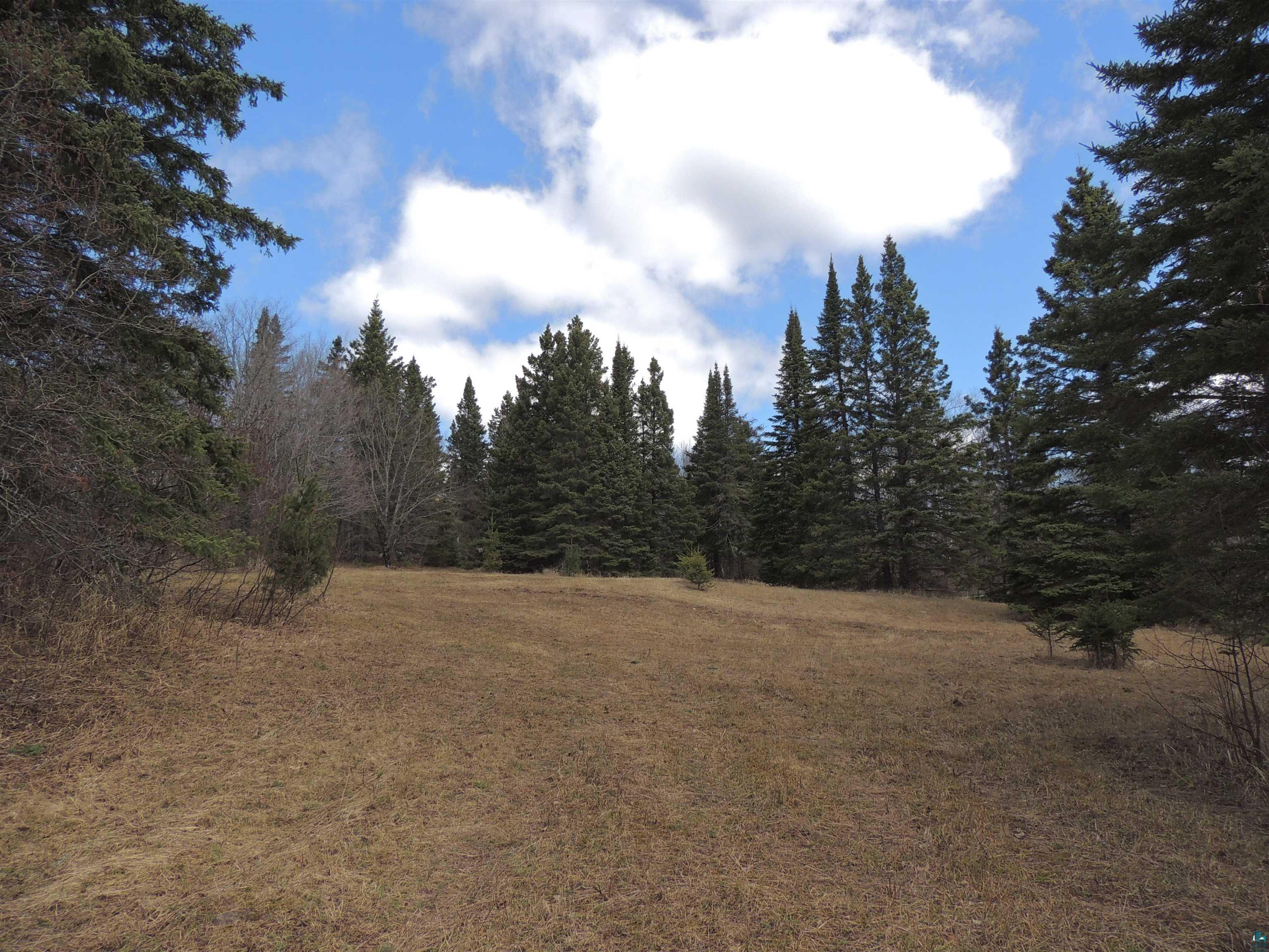 Xxx Springdale Road Tofte, MN 55615 - Photo 6 of 36