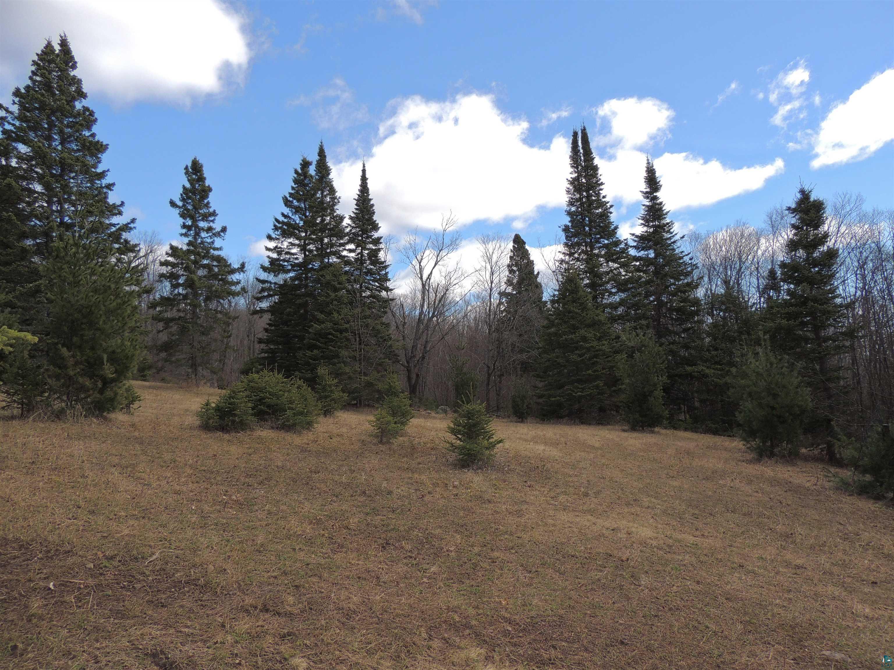 Xxx Springdale Road Tofte, MN 55615 - Photo 7 of 36