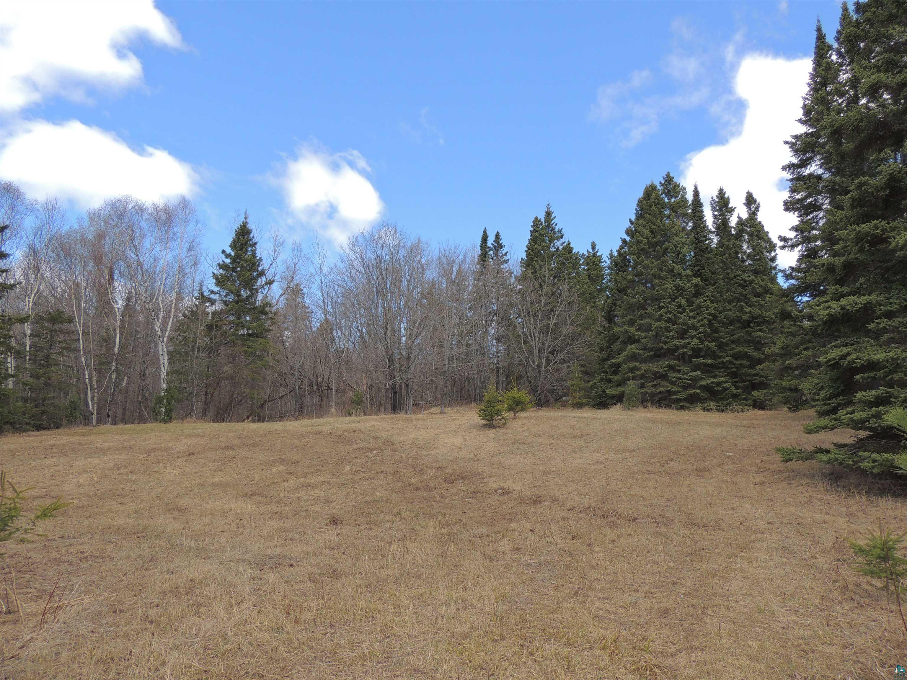 Xxx Springdale Road Tofte, MN 55615 - Photo 9 of 36