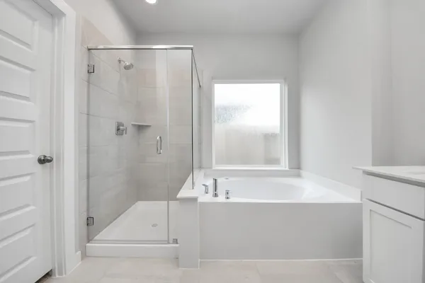 a bathroom with a double vanity sink a and a shower