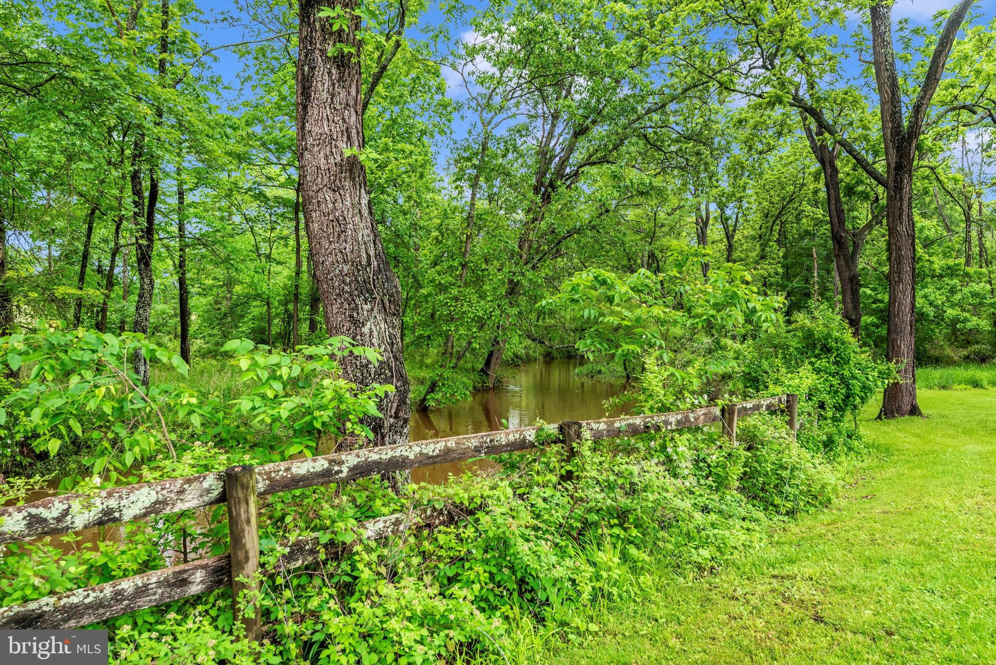 511 Stultz Road Fairfield, PA 17320 - Photo 79 of 86 a view of a garden with plants and large trees