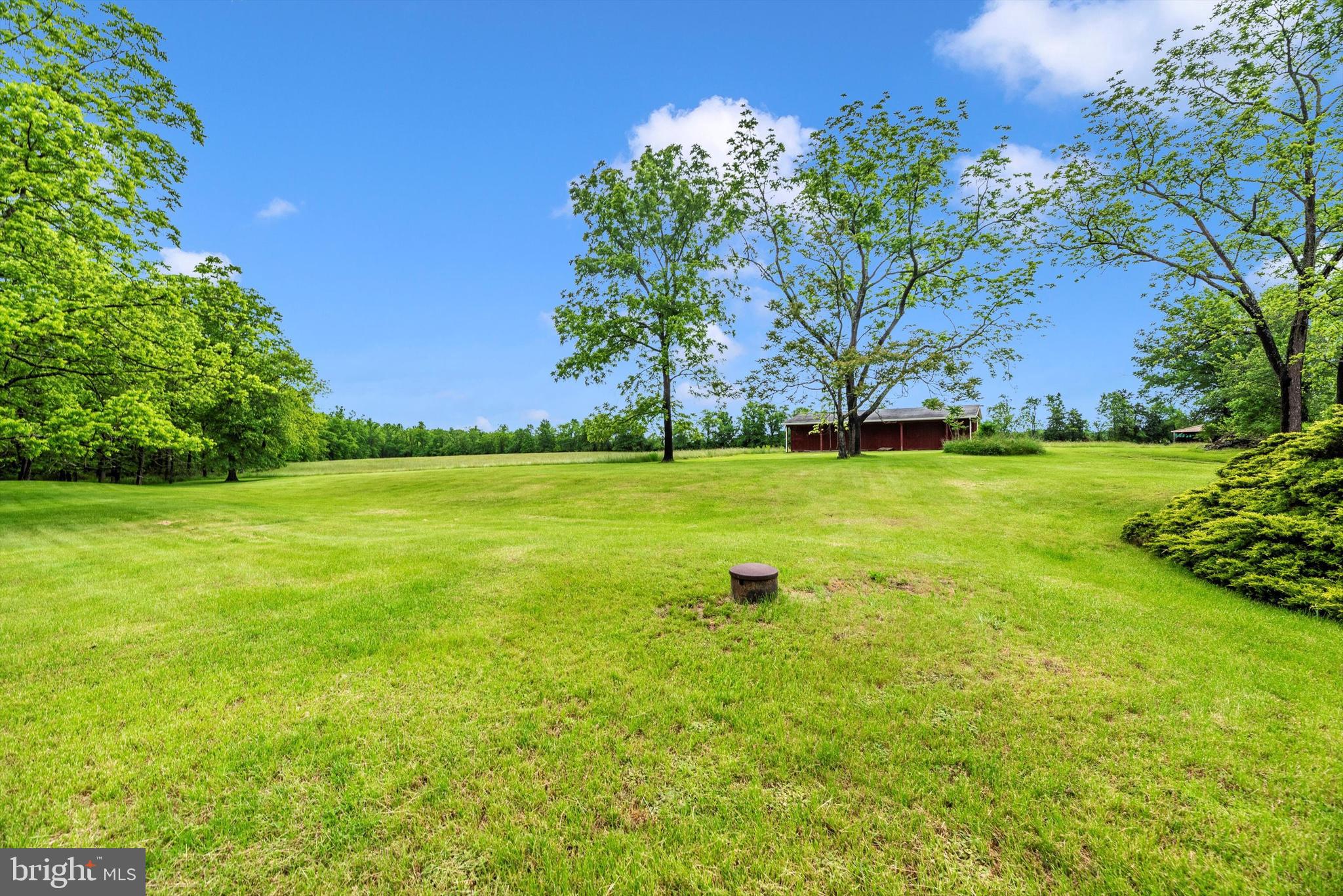 511 Stultz Road Fairfield, PA 17320 - Photo 81 of 86 a view of a big yard with plants and large trees