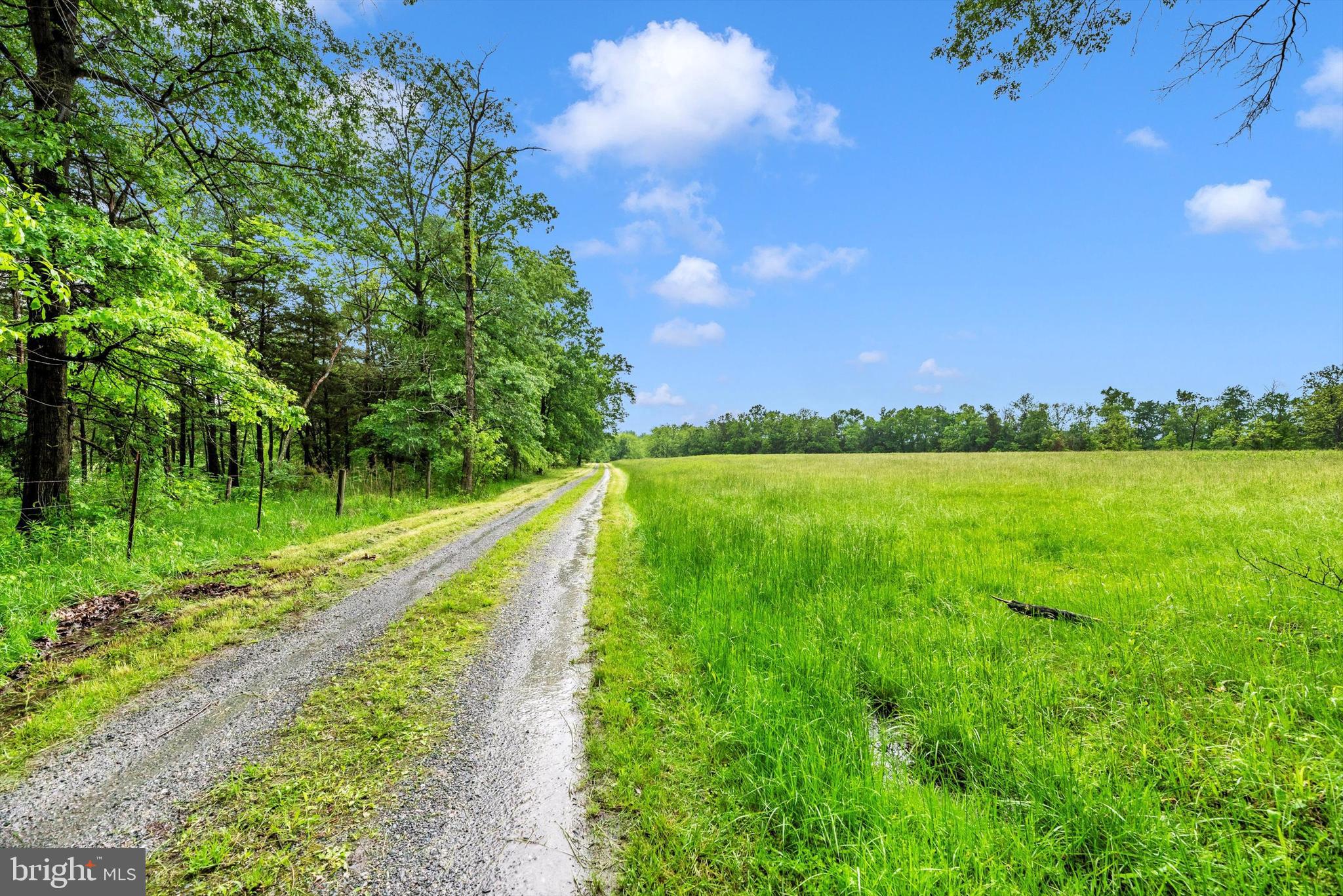 511 Stultz Road Fairfield, PA 17320 - Photo 82 of 86 a view of a lake with a big yard