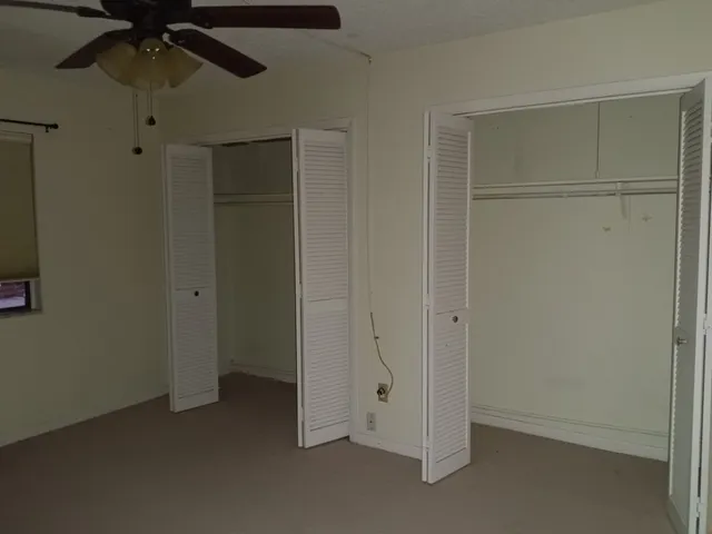 a view of water with a tree in the background