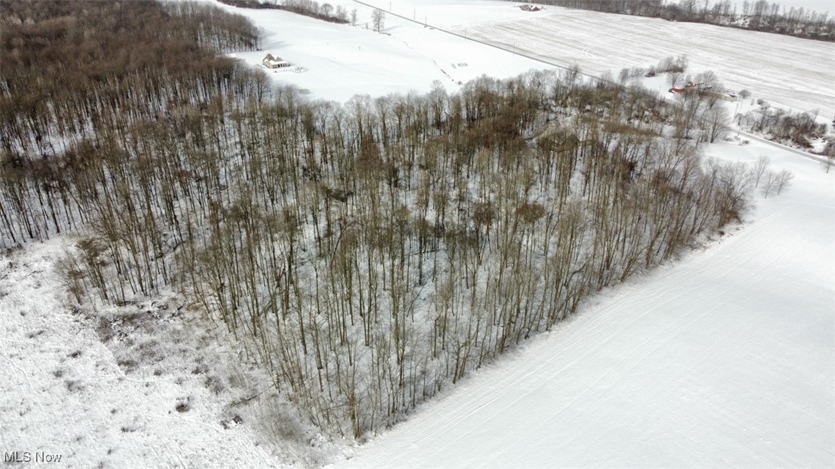 3718 Babcock Road Williamsfield, OH 44093 - Photo 10 of 31 View of snowy aerial view