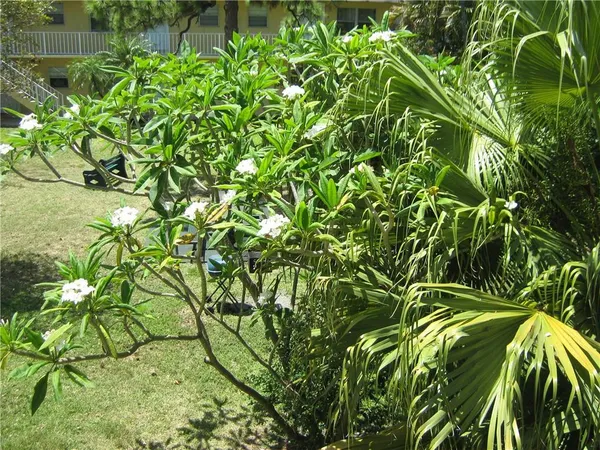 $1,750 | 5162 Northeast 6th Avenue, Unit 317, Oakland Park, FL 33334