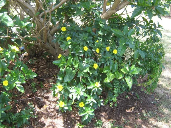 $1,750 | 5162 Northeast 6th Avenue, Unit 317, Oakland Park, FL 33334