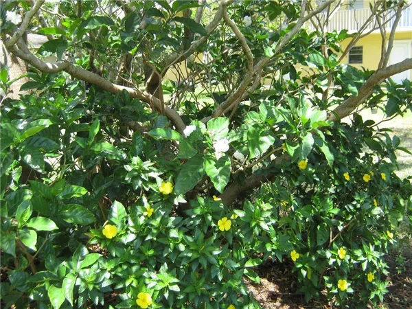 $1,750 | 5162 Northeast 6th Avenue, Unit 317, Oakland Park, FL 33334