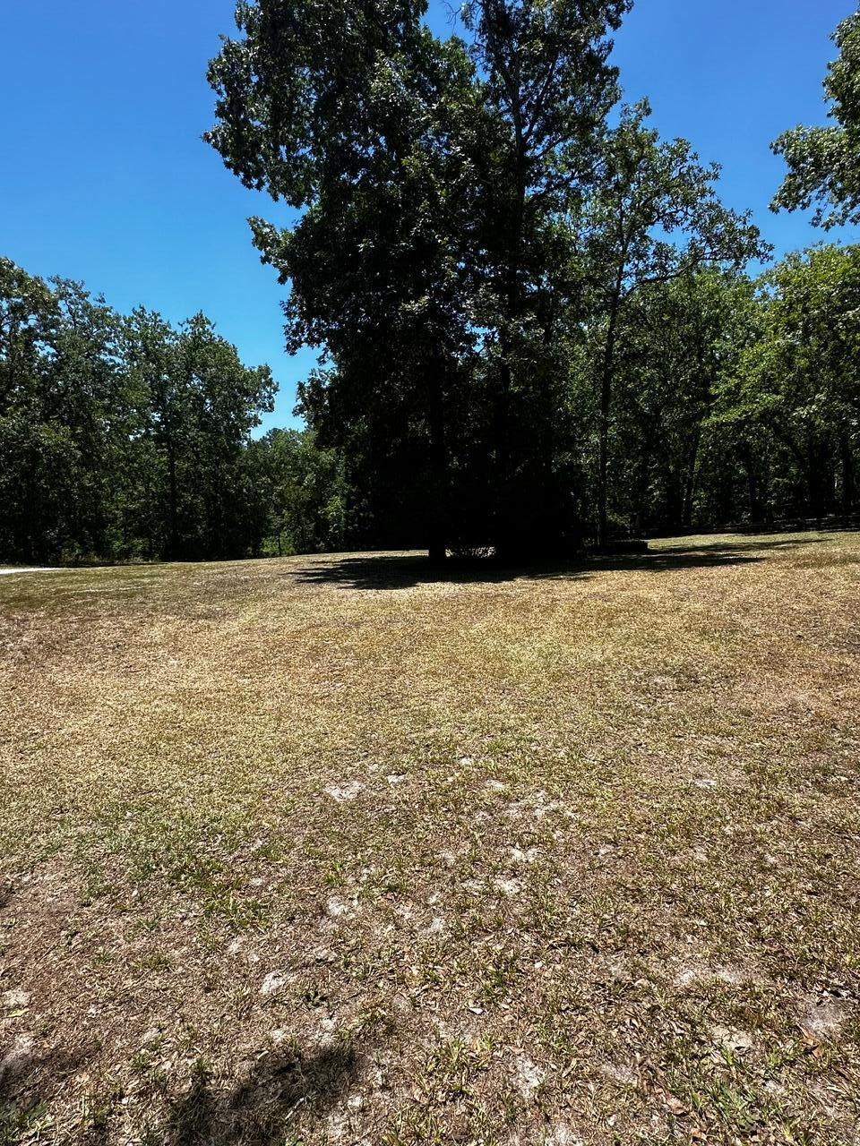 224 Cotton Branch Road Leesville, SC 29070 - Photo 9 of 52