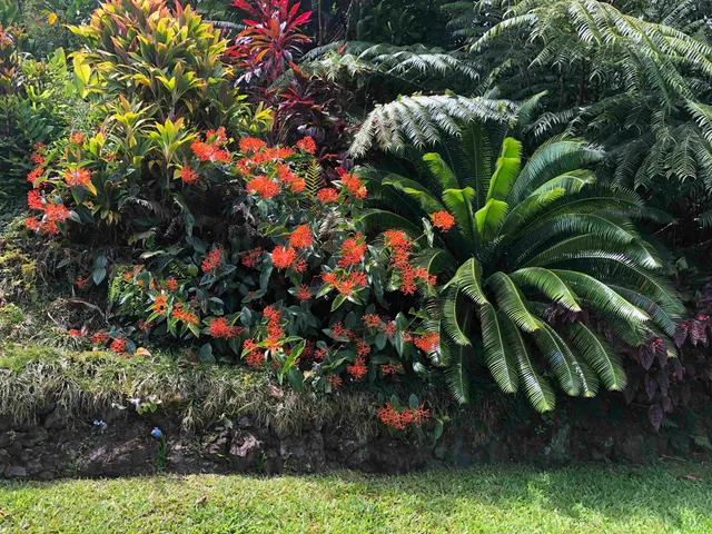 a backyard of a house with lots of green space