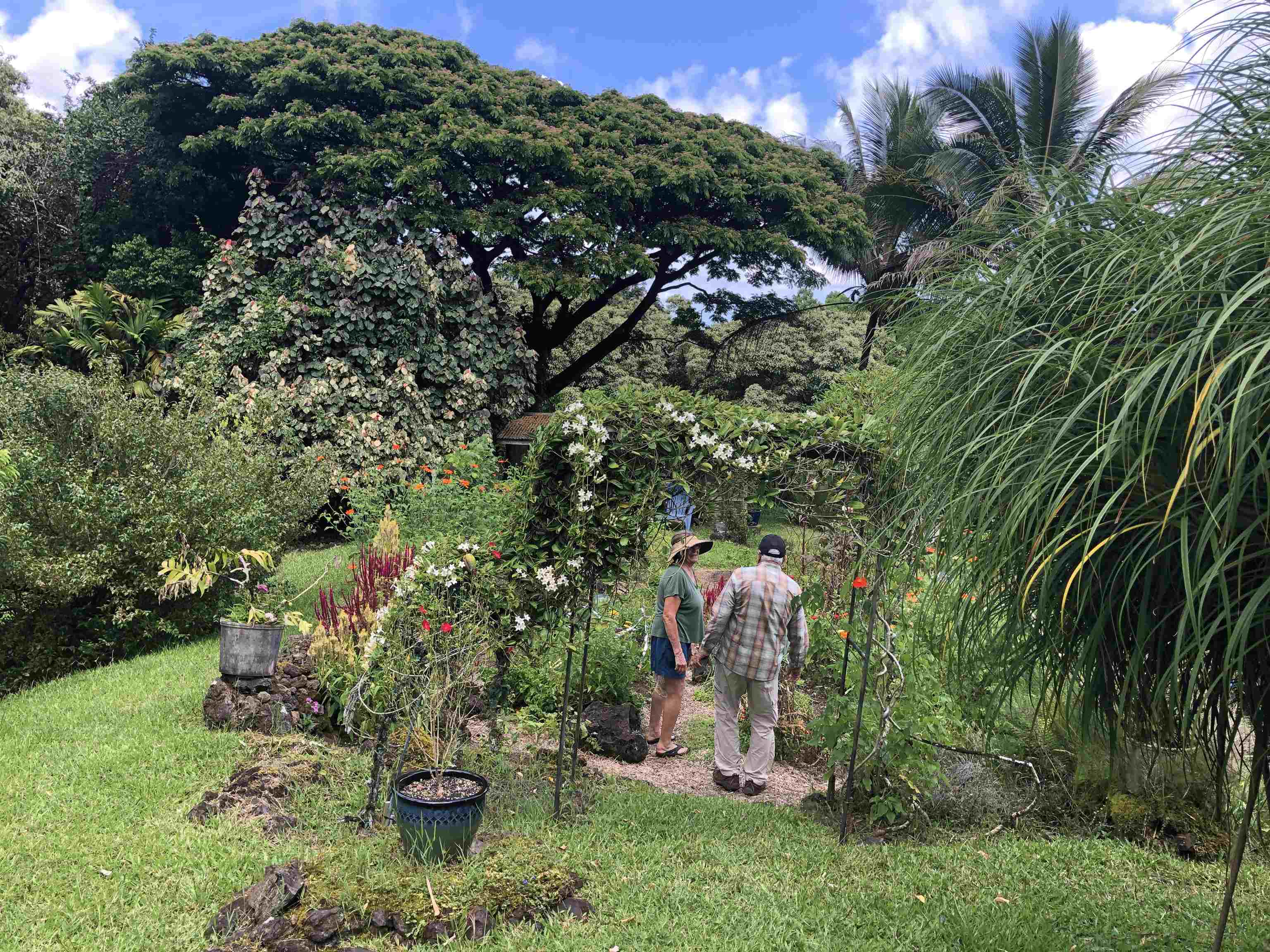 725 Nahiku Road Haiku, HI 96708 - Photo 15 of 31