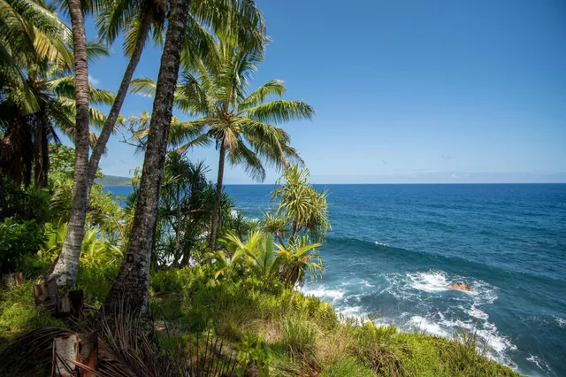 a view of a pathway with a yard