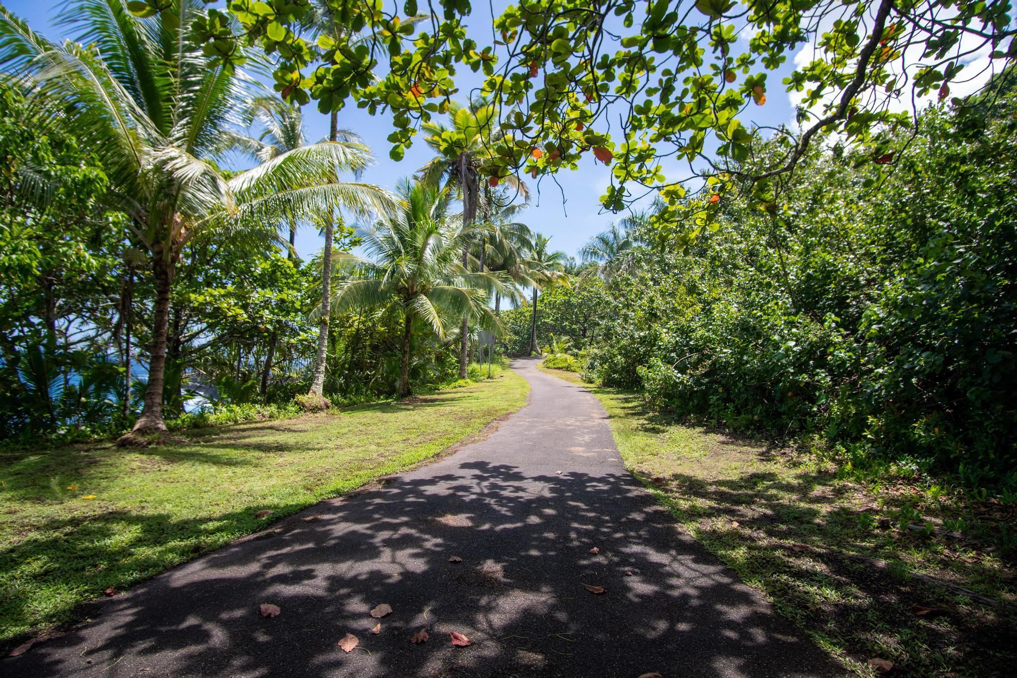 725 Nahiku Road Haiku, HI 96708 - Photo 27 of 31