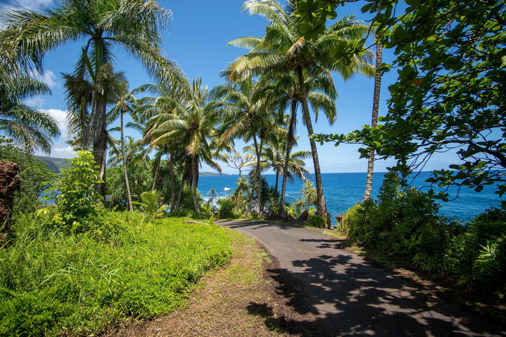 725 Nahiku Road Haiku, HI 96708 - Photo 28 of 31