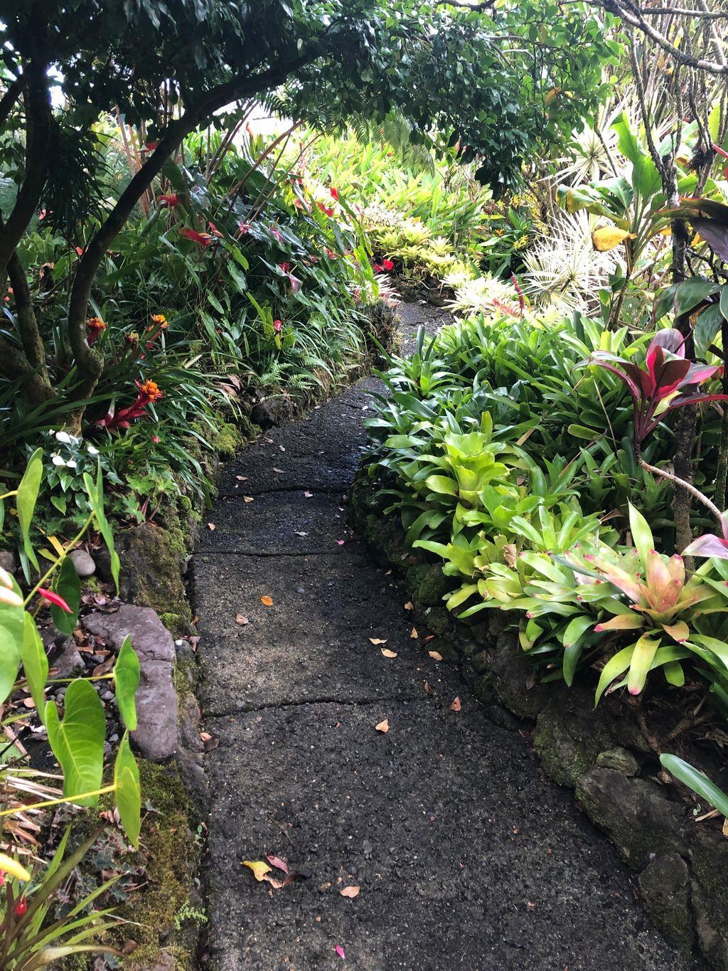 725 Nahiku Road Haiku, HI 96708 - Photo 3 of 31