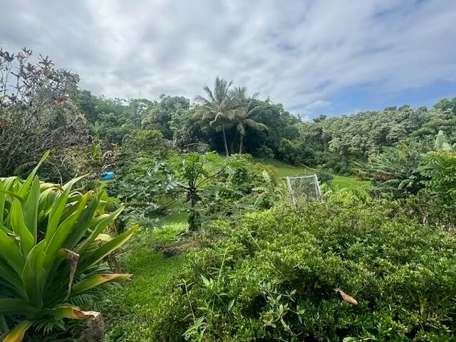 a view of outdoor space with lots of green space