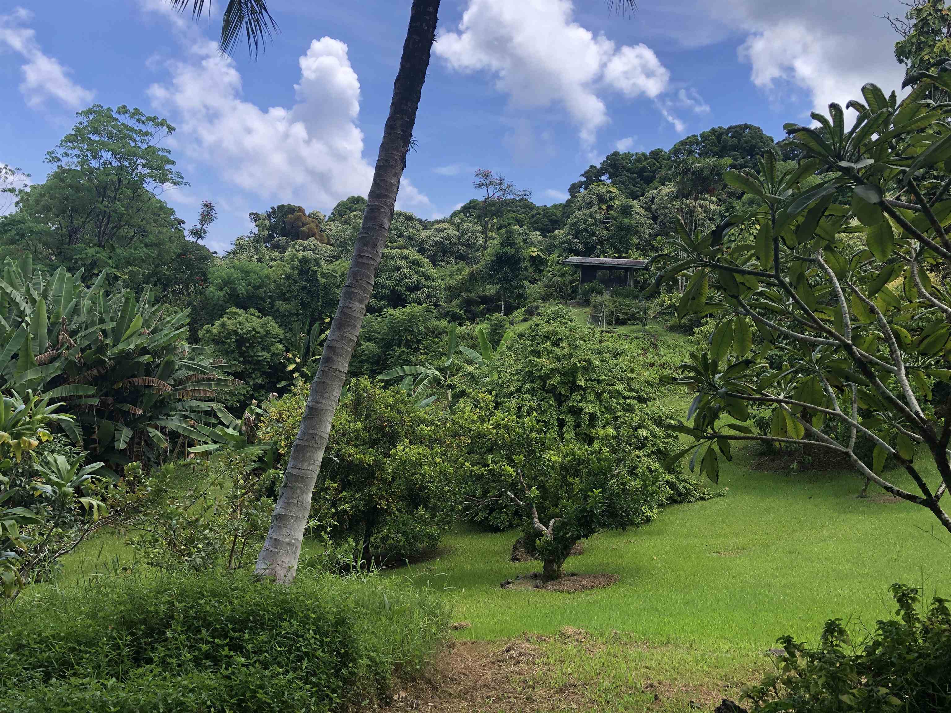 725 Nahiku Road Haiku, HI 96708 - Photo 7 of 31