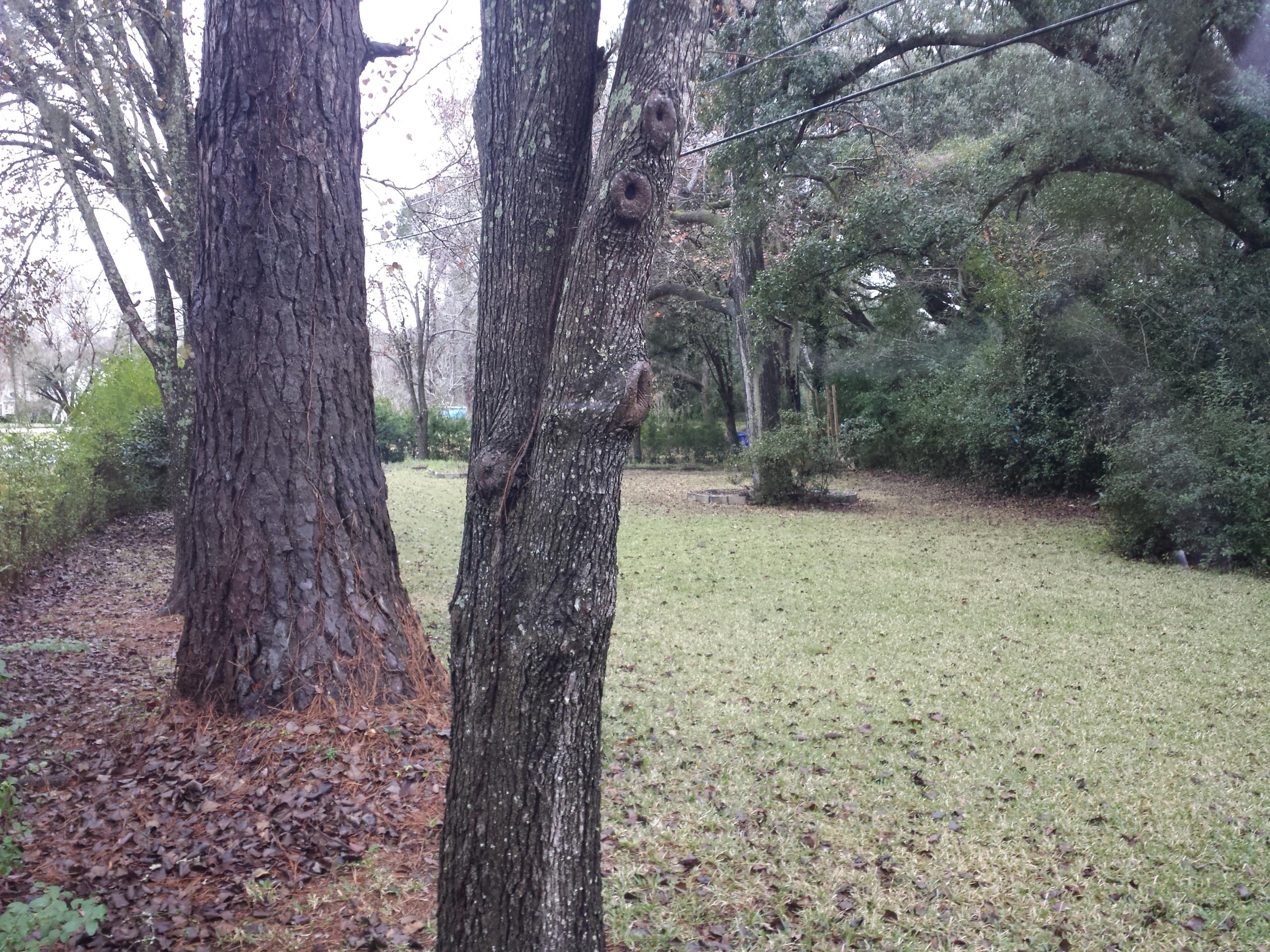 4872 Lambs Road North Charleston, SC 29418 - Photo 6 of 45 2016-01-15 15