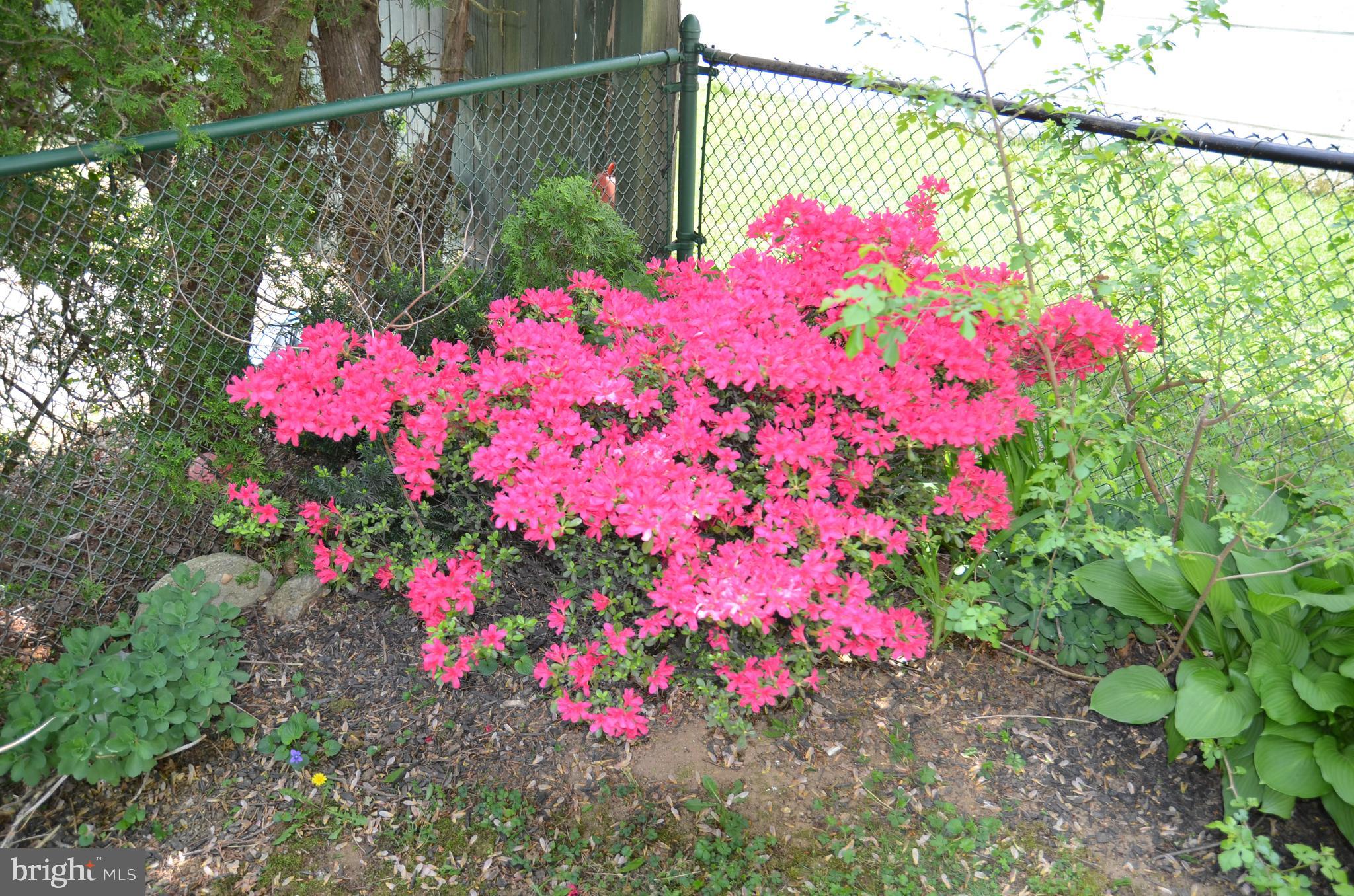 3352 Red Lion Road Philadelphia, PA 19114 - Photo 47 of 54 Gallery Image 47