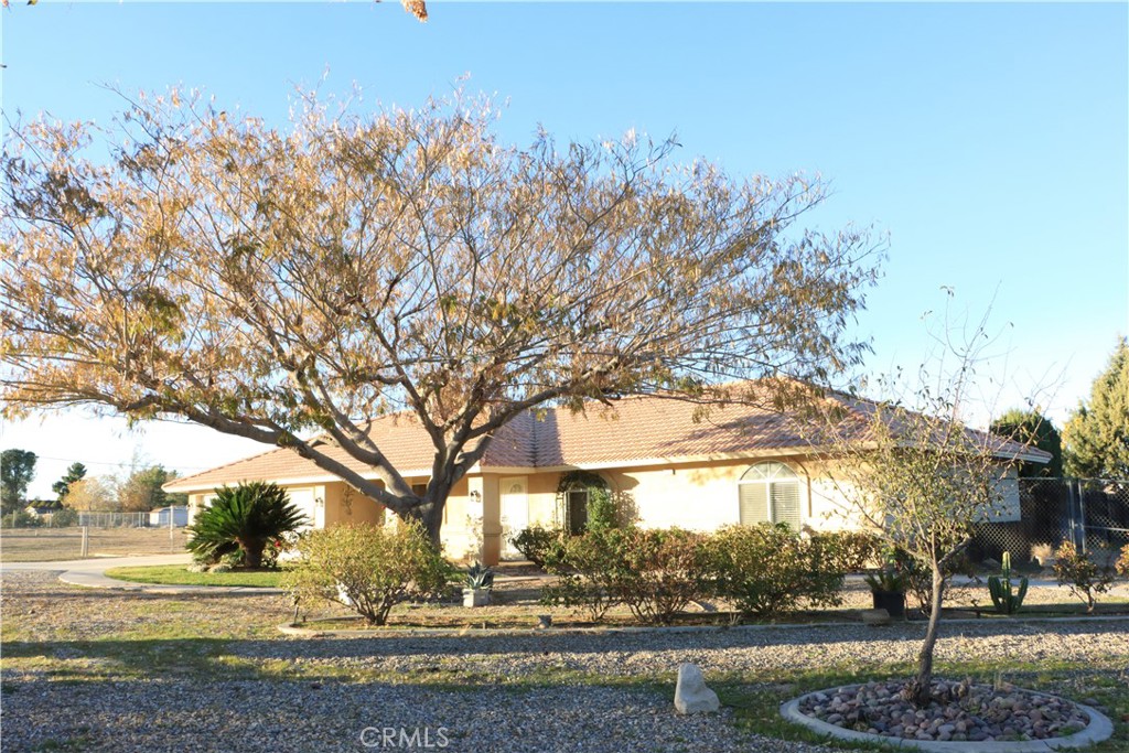 15742 Muscatel Street Hesperia, CA 92345 - Photo 20 of 24 a view of road with tree