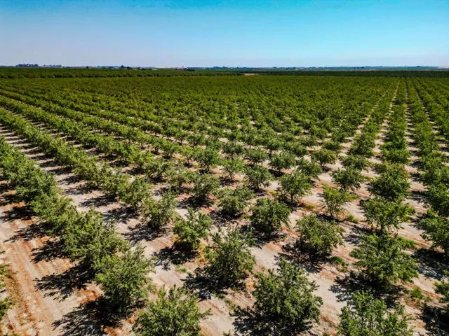 $2,700,000 | 2457 East Clarkson Avenue, Selma, CA 93662