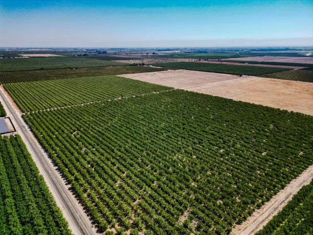 $2,700,000 | 2457 East Clarkson Avenue, Selma, CA 93662