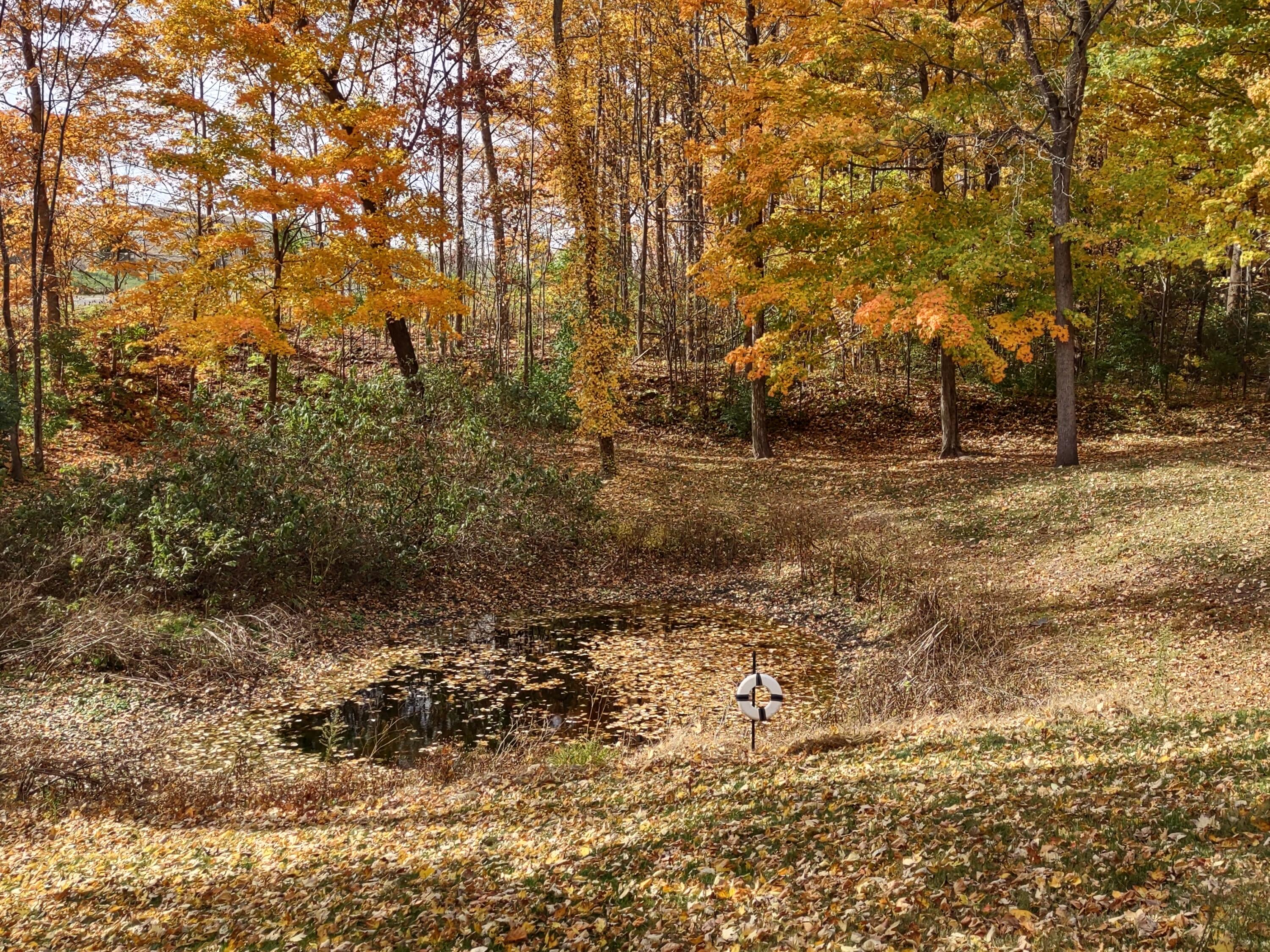 2945 Chamberlain Road Buchanan, MI 49107 - Photo 33 of 42 IMG_20221024_133527457_HDR