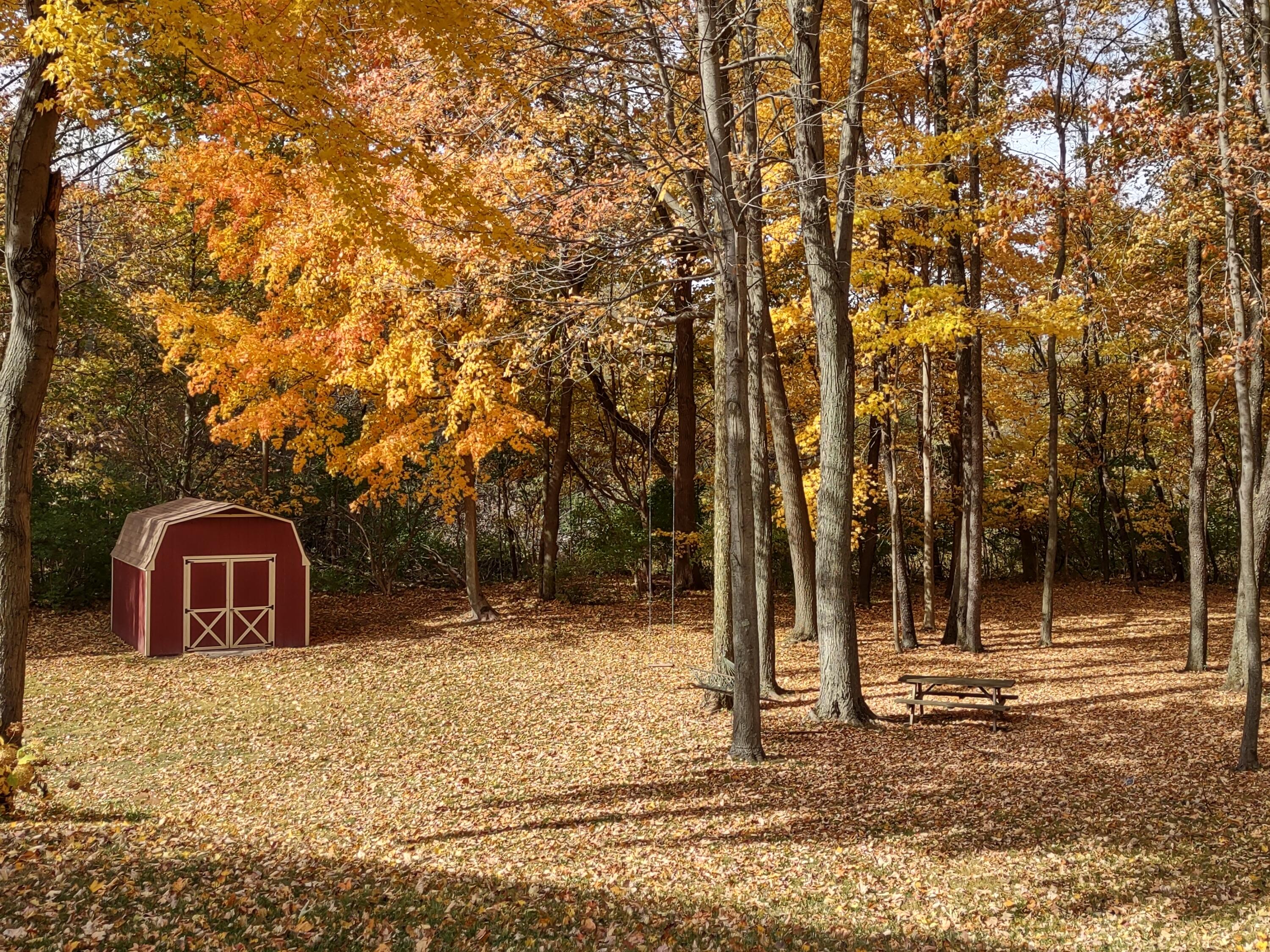 2945 Chamberlain Road Buchanan, MI 49107 - Photo 34 of 42 IMG_20221024_133605290_HDR