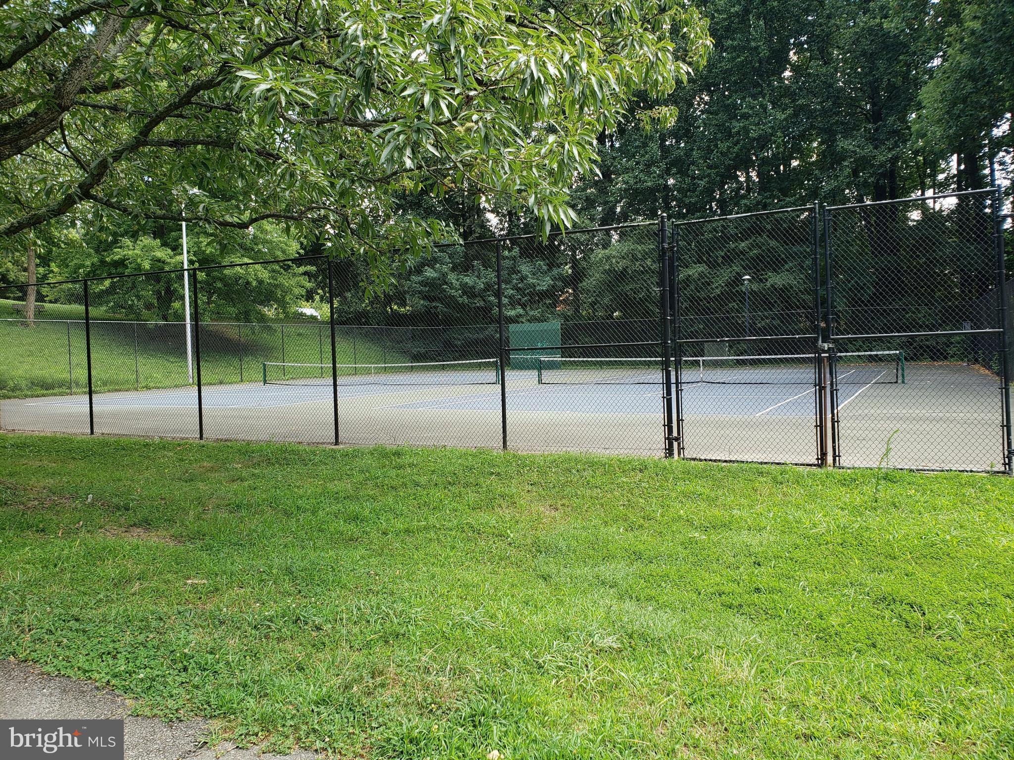 2427 Churchill Road Silver Spring, MD 20902 - Photo 38 of 41 Tennis!