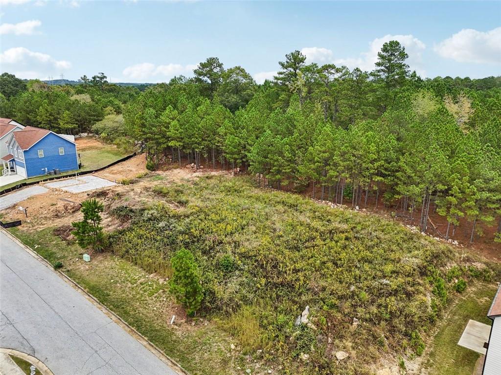 4405 Belcamp Road Fairburn, GA 30213 - Photo 55 of 60 a view of a yard with plants and a bench