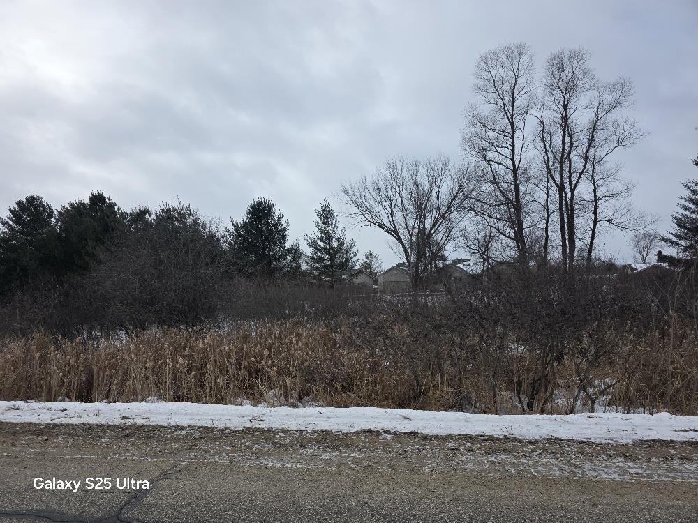 Lot 551 Hockaday Road, Unit HOCKADAY & DORMIE DR Gladwin, MI 48624 - Photo 5 of 11