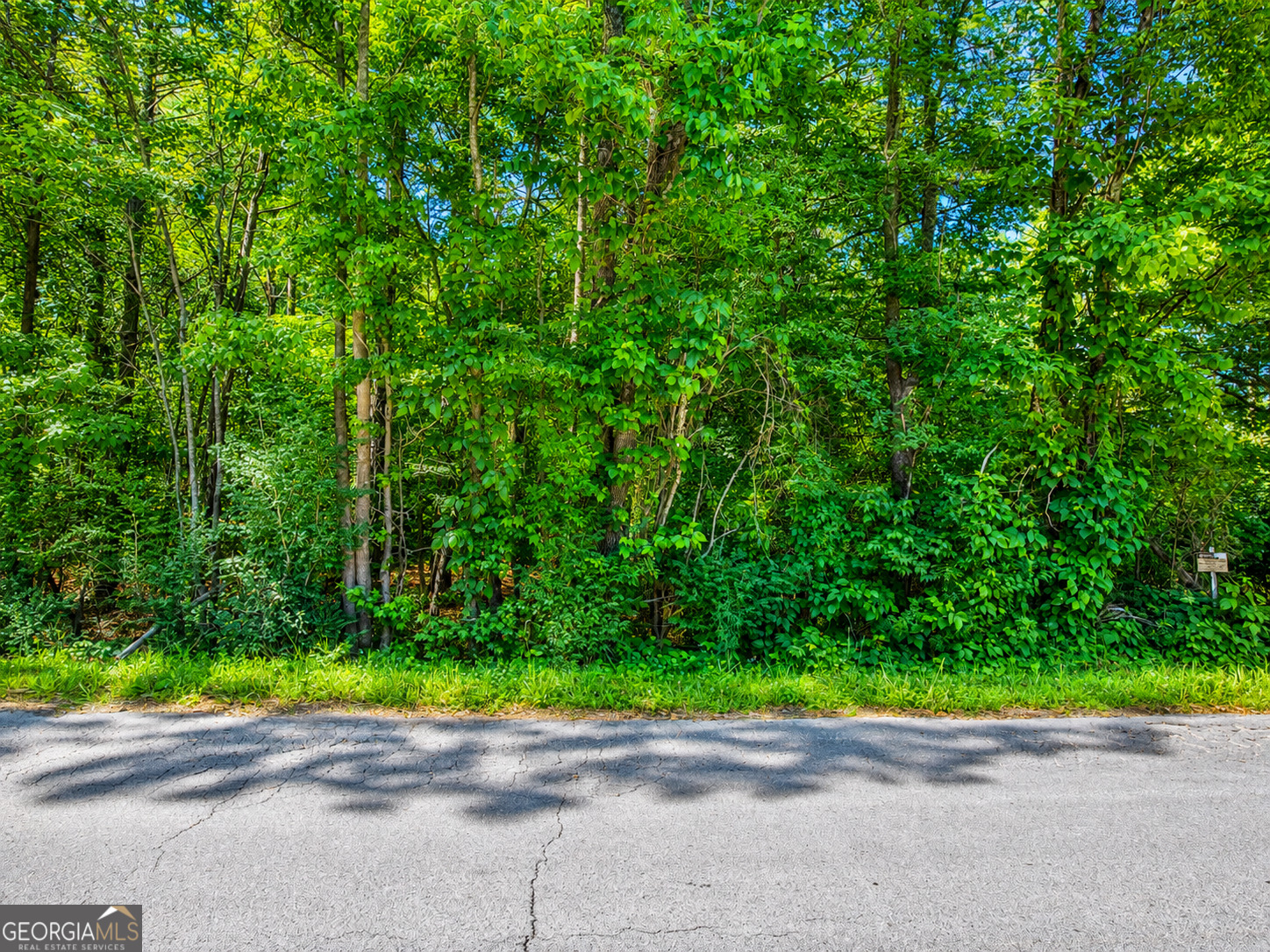 15.06-acres Bandy Road LaFayette, GA 30728 - Photo 6 of 7