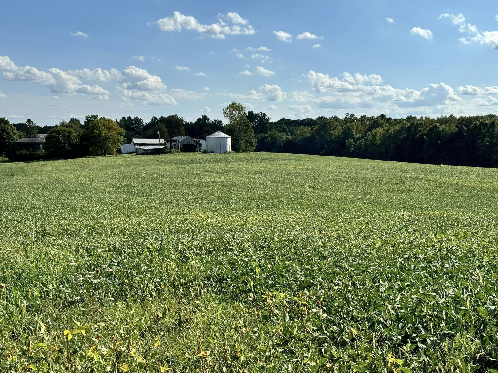 7400 Follin Road Fredericktown, OH 43019 - Photo 6 of 28 457377639_10229552194883463_750779133814