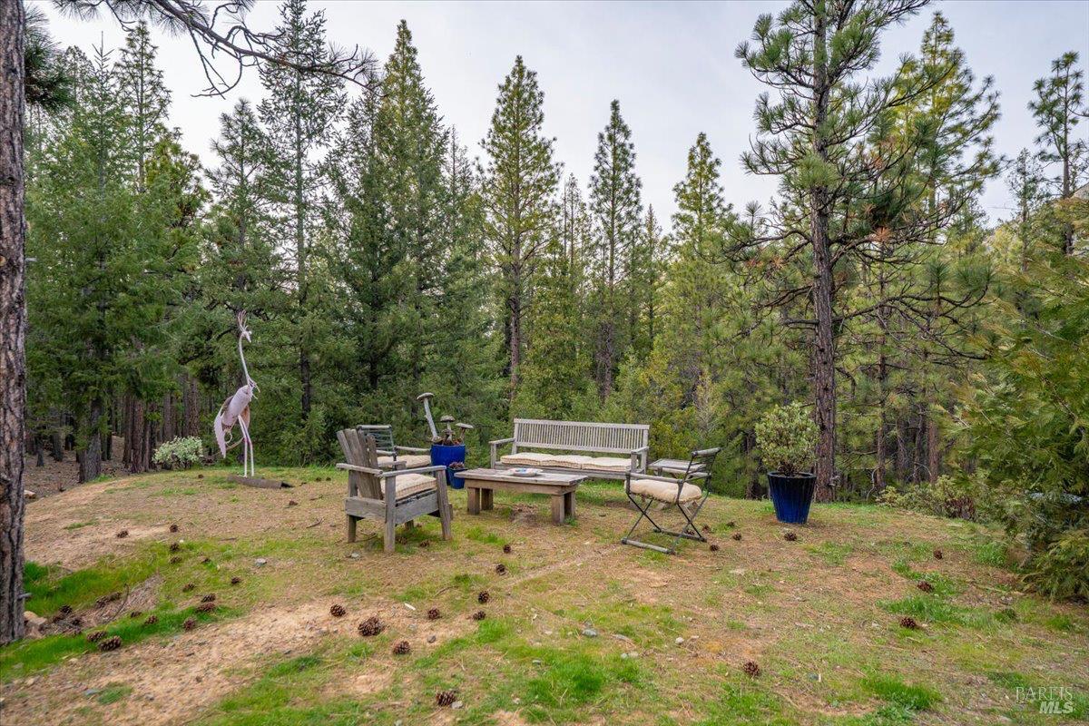 100 Blue Wolf Ranch Callahan, CA 96014 - Photo 35 of 46