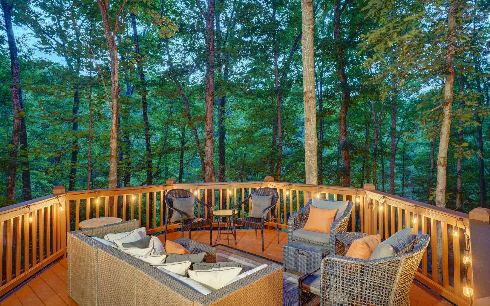 7779 Cutcane Road Mineral Bluff, GA 30559 - Photo 2 of 4 Additional View