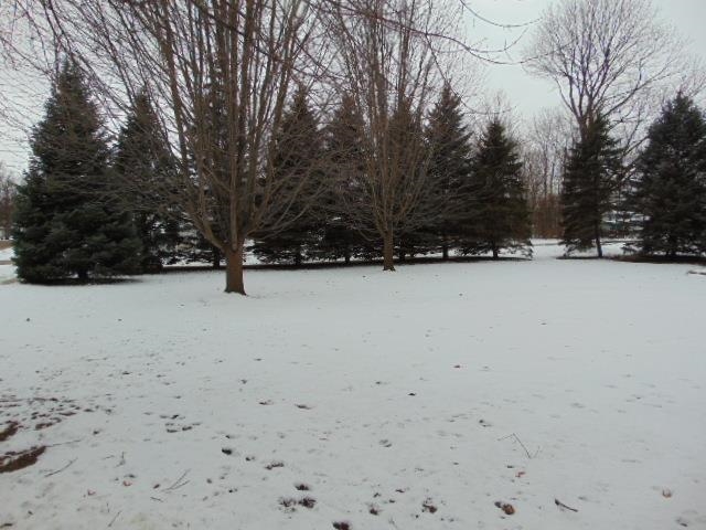511 North Ithaca Street Ithaca, MI 48847 - Photo 5 of 47 1896259-4.JPG
