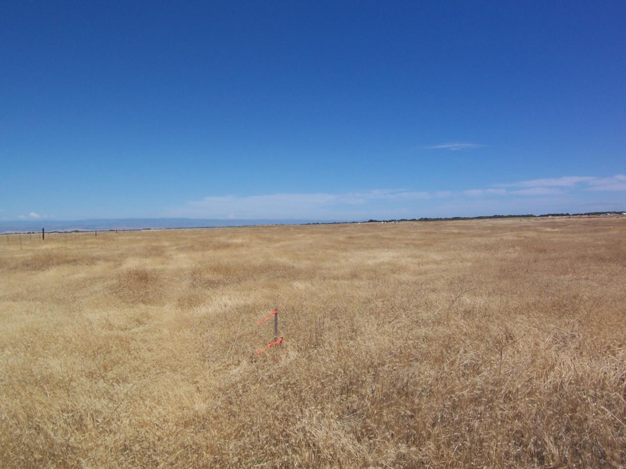 Lot 4 Off Gyle Road Corning, CA 96021 - Photo 3 of 4 a view of an ocean
